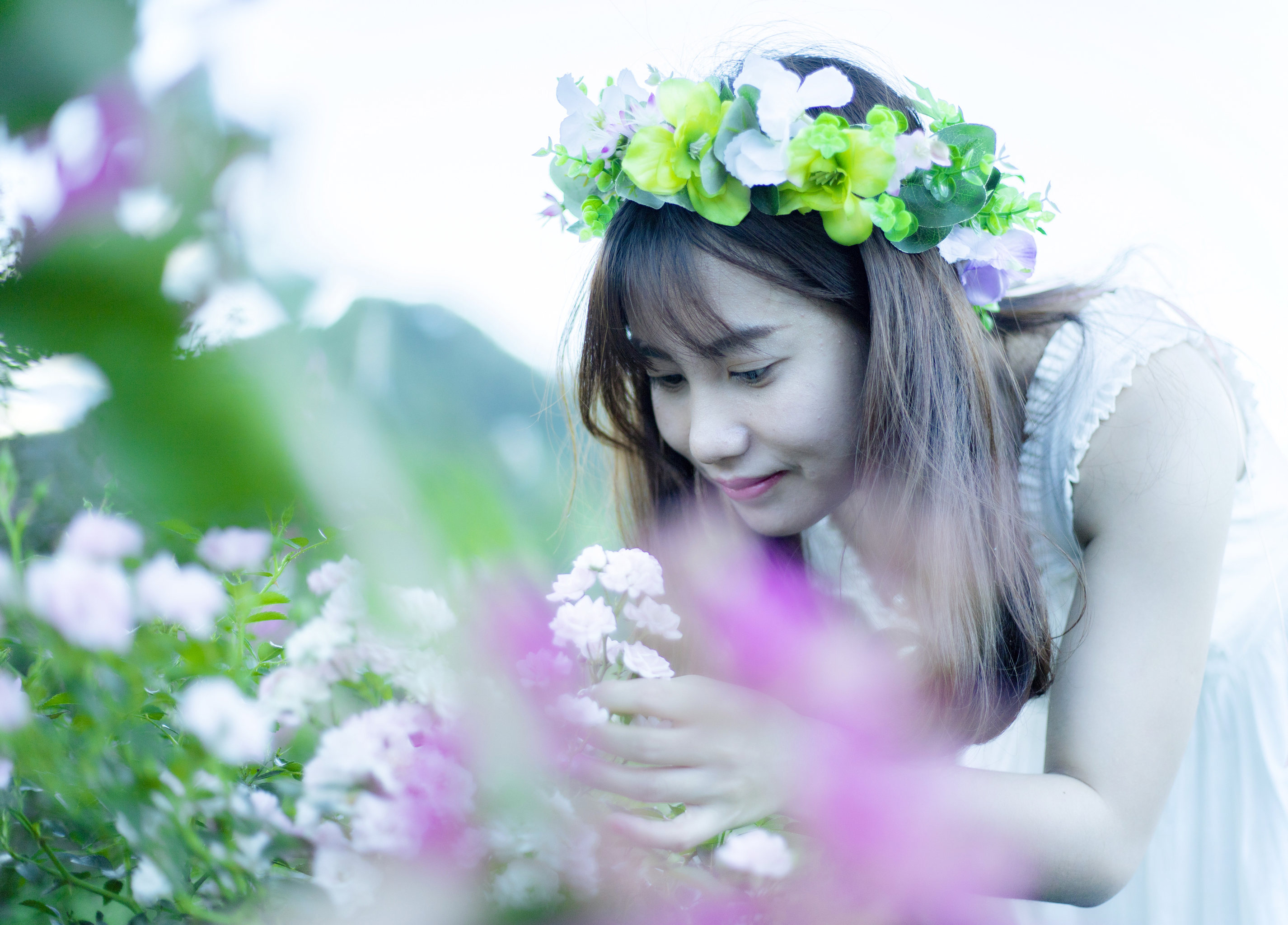 美丽花仙子