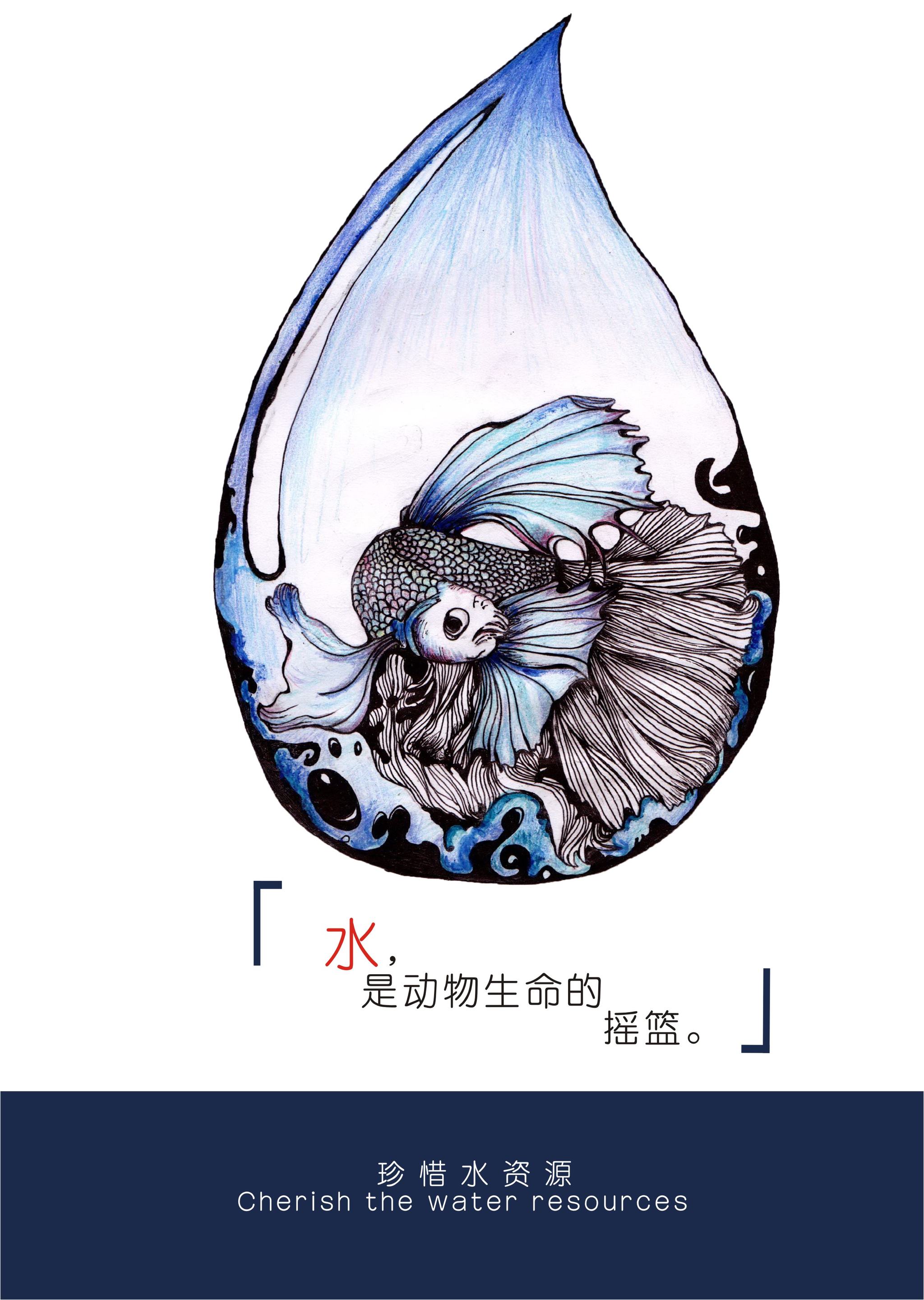 水的重要性