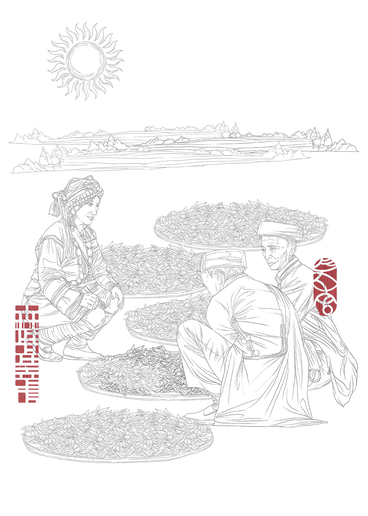 为其绘制了一套茶叶生产工艺流程的黑白线描插画作品