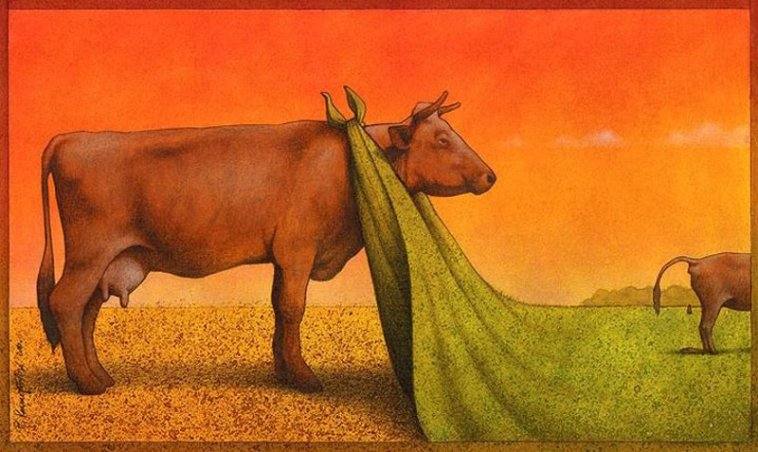 pawel kuczynski 艺术家|讽刺插画