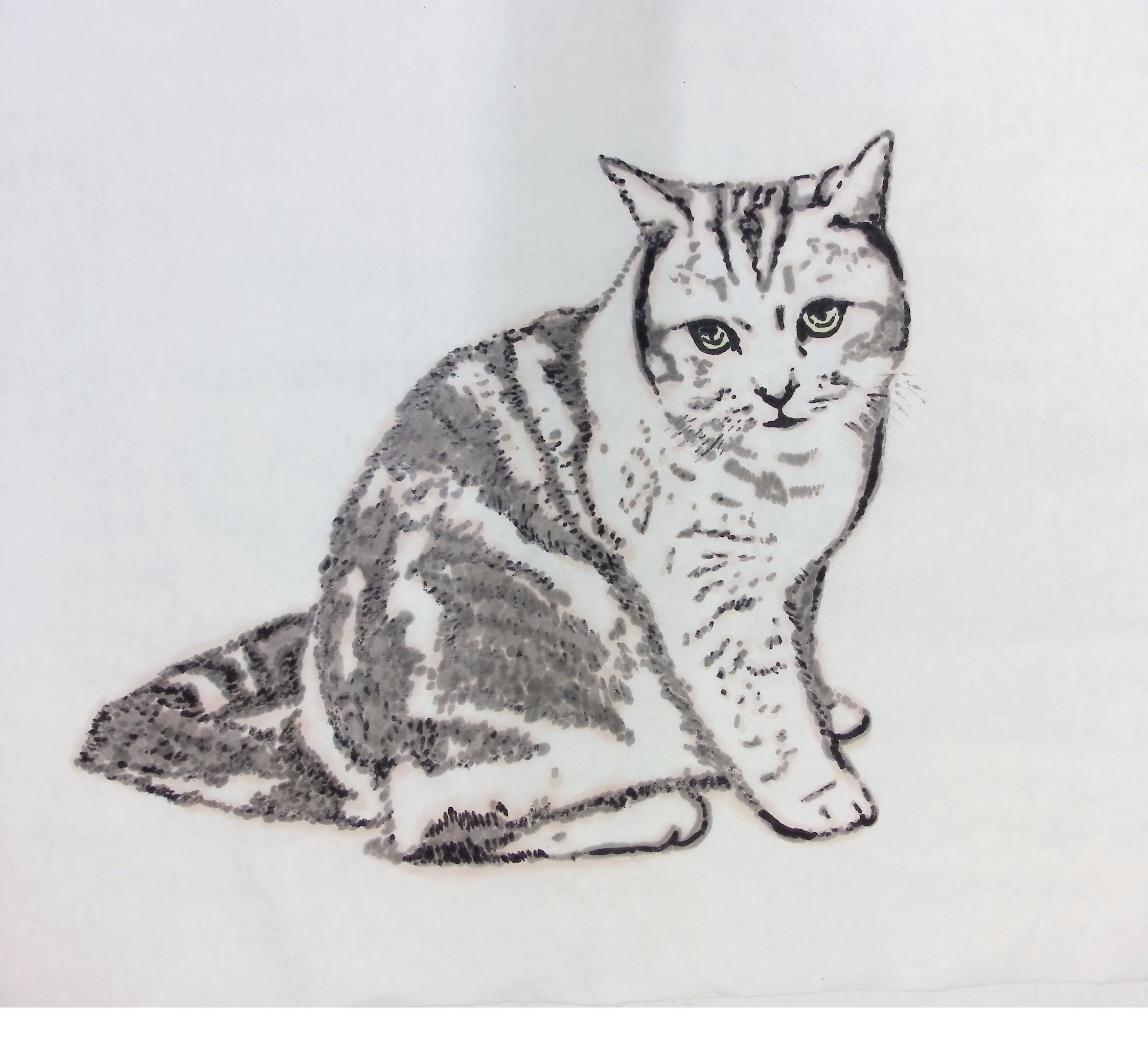 中国水墨画猫-