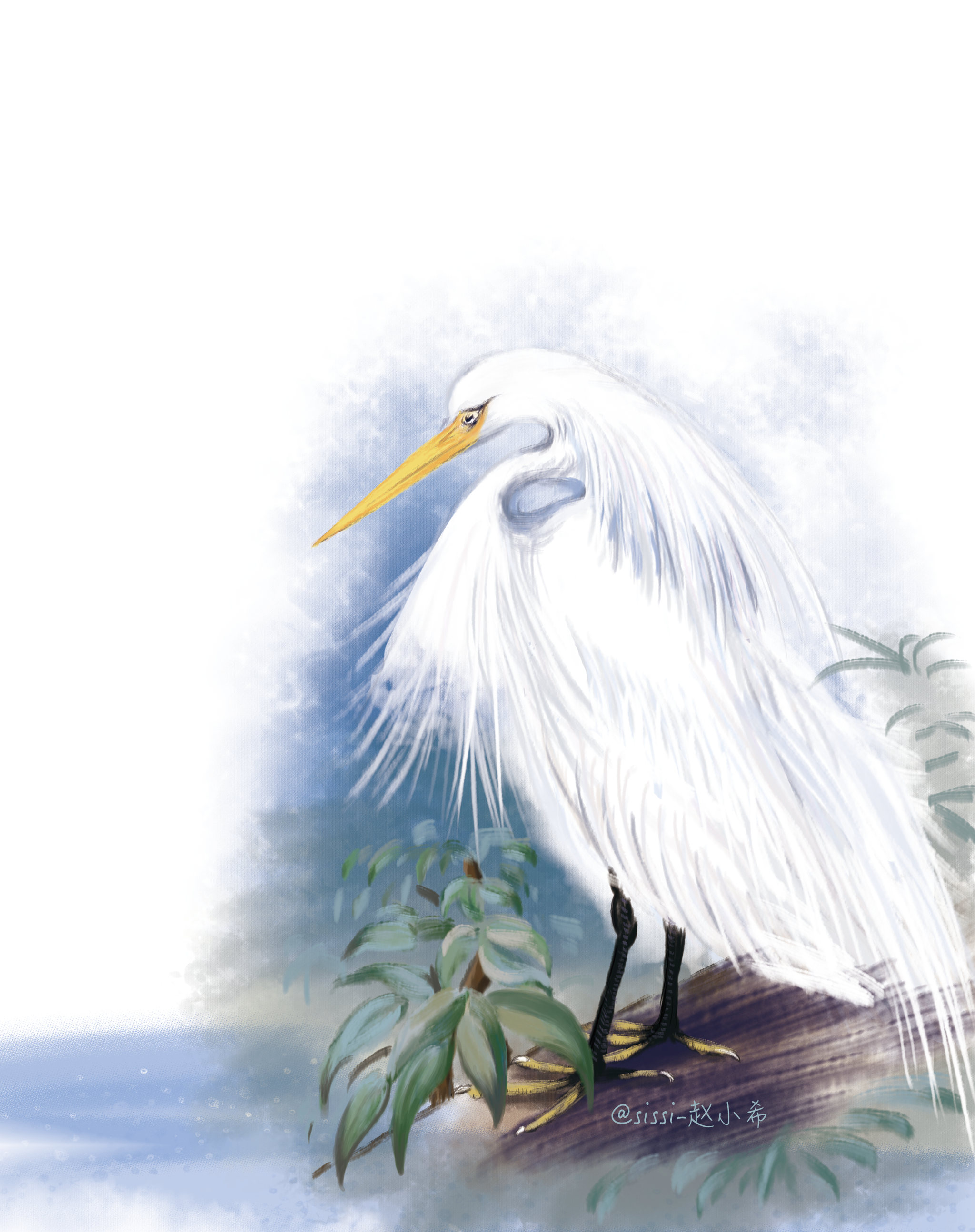 黄嘴白鹭 插画  - 商业插画 |   上传时间: 2018-04-07 22:20 为ta点