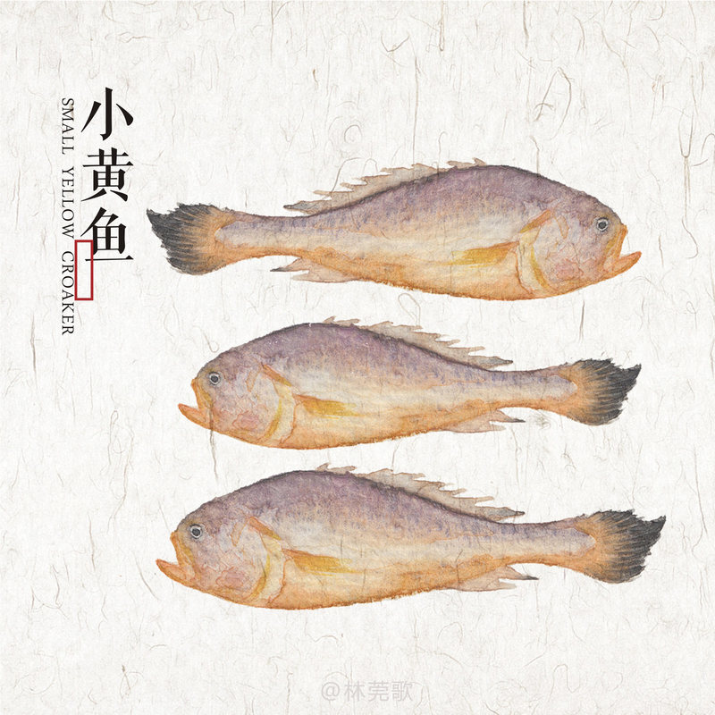 怕你们说我偷懒不画面糊下的小黄鱼,其实小黄鱼一下画好,面糊画了大