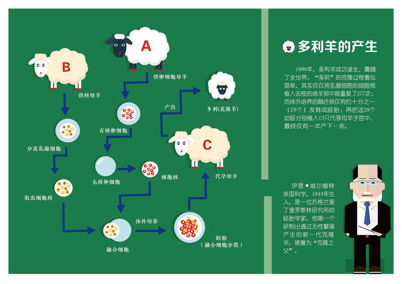 生命科学科普插画