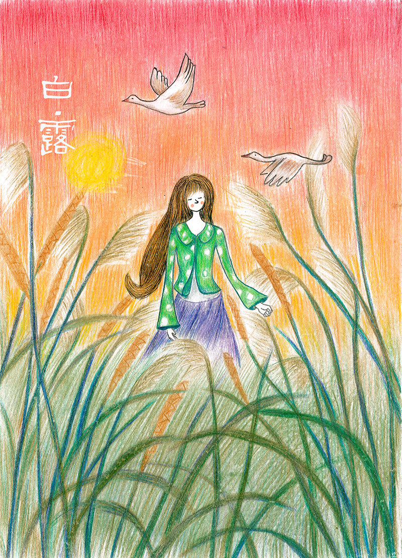 彩铅24节气系列插画