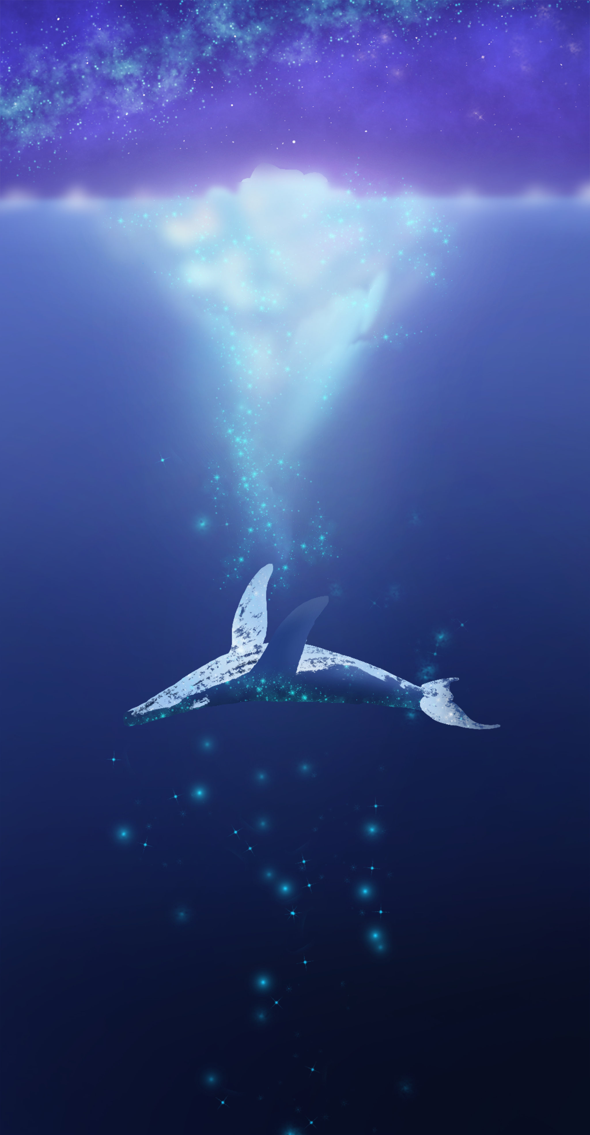 鲸鱼星辰大海