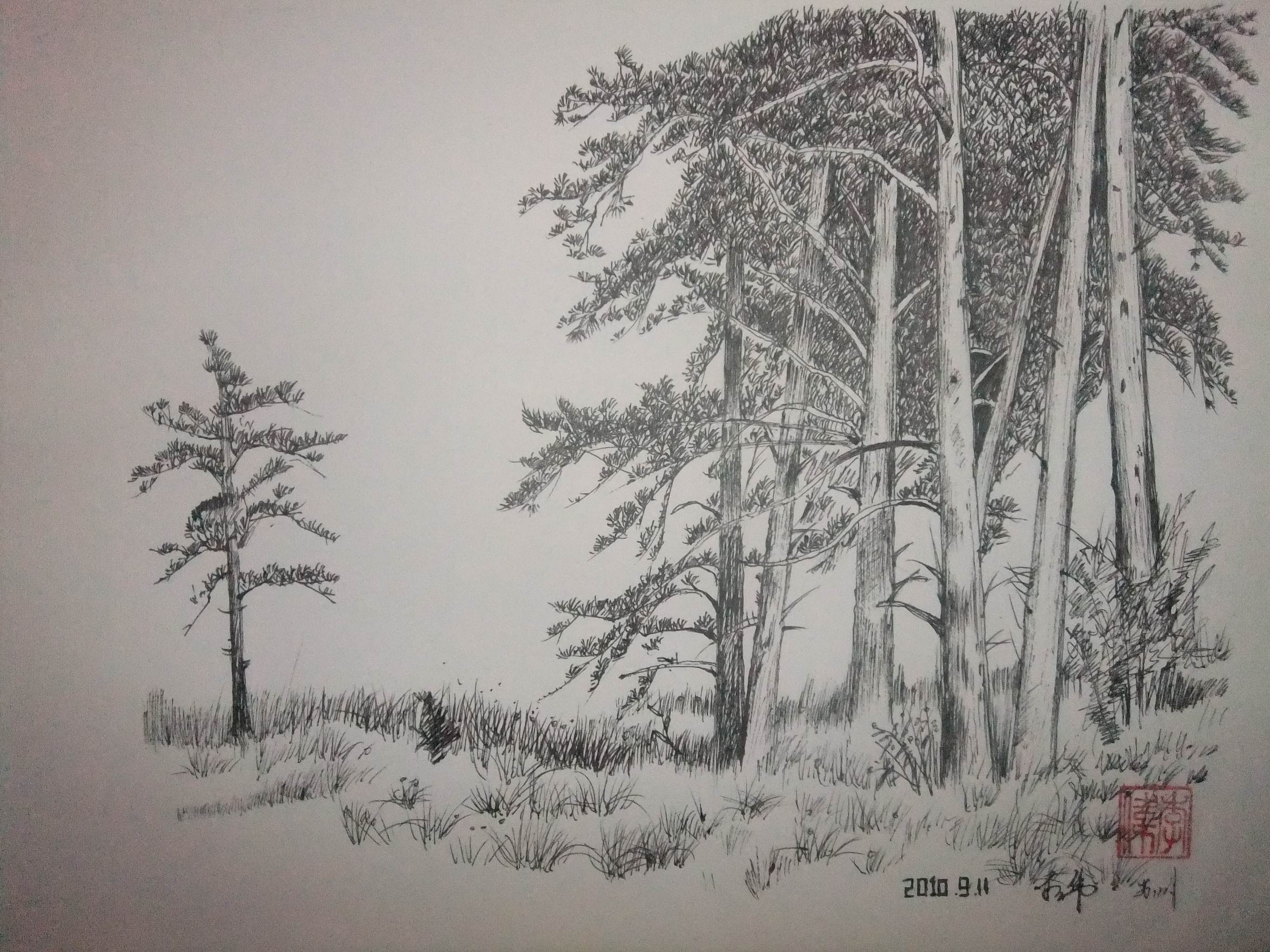 素描风景画