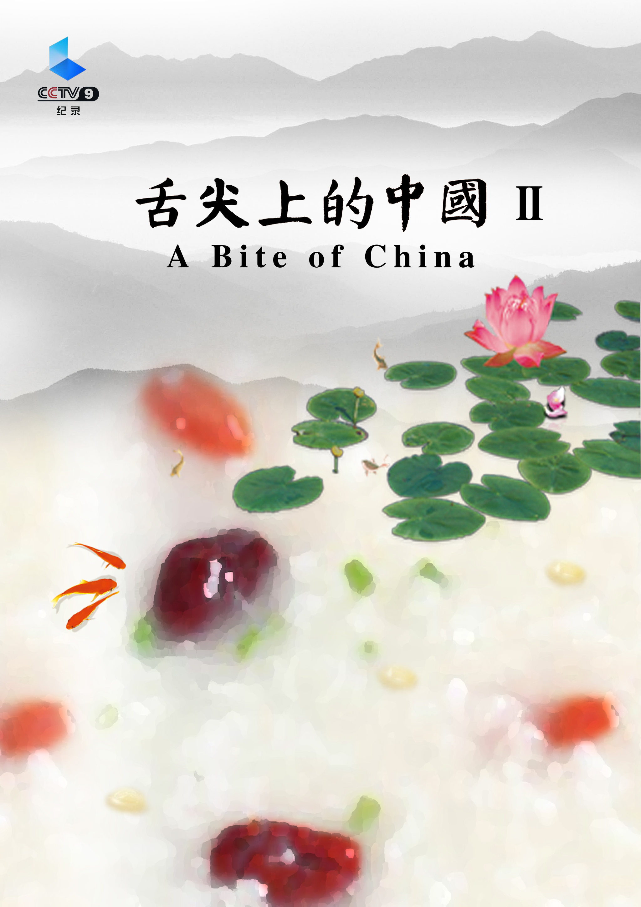 舌尖上的中国2--一粥一天下,一子一未来