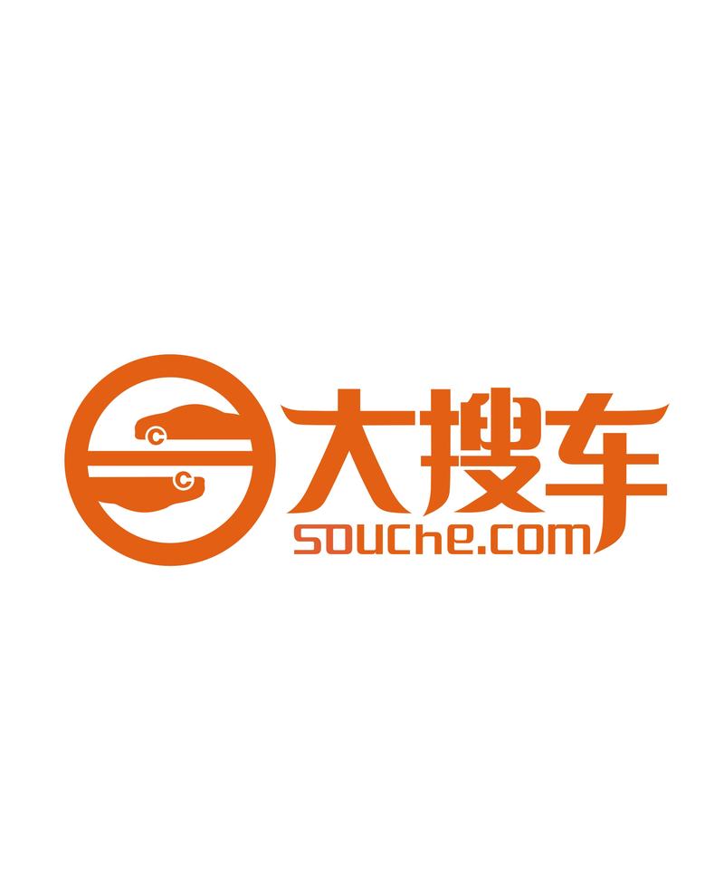 大搜车logo设计