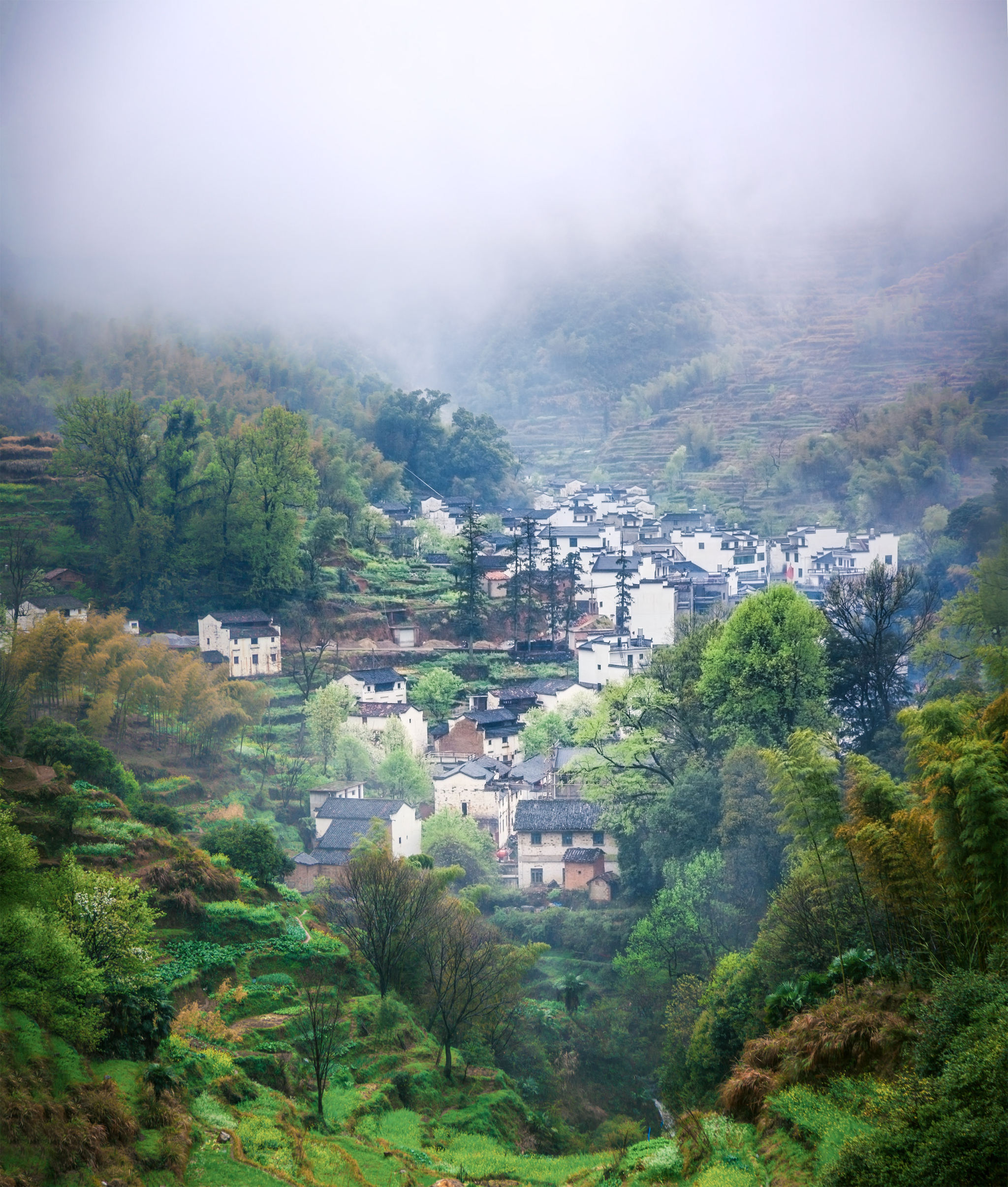 暴雨烟雾缭绕的婺源篁岭拍摄于春天