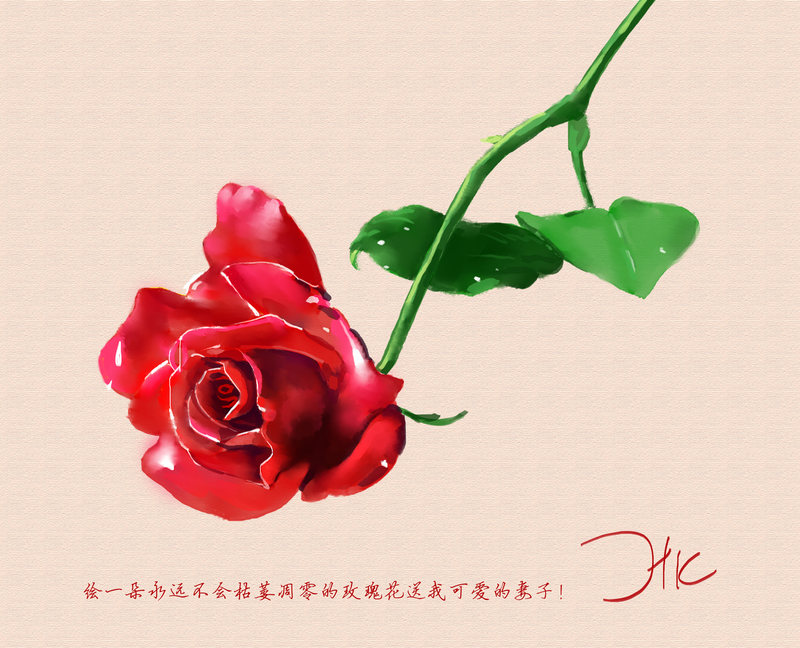 永不凋零的玫瑰