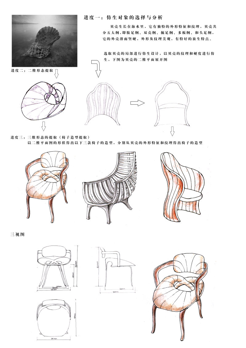 椅子——仿生设计