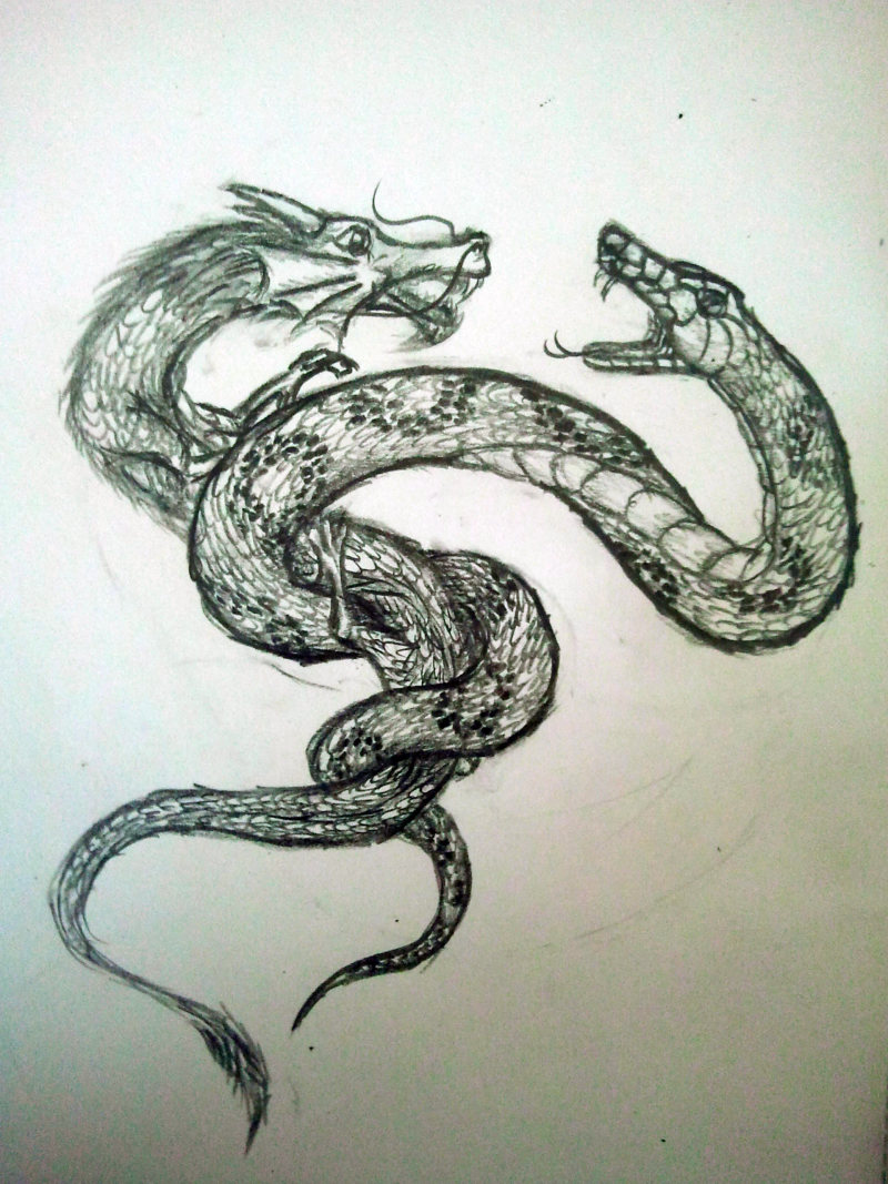 蛇-vs-long