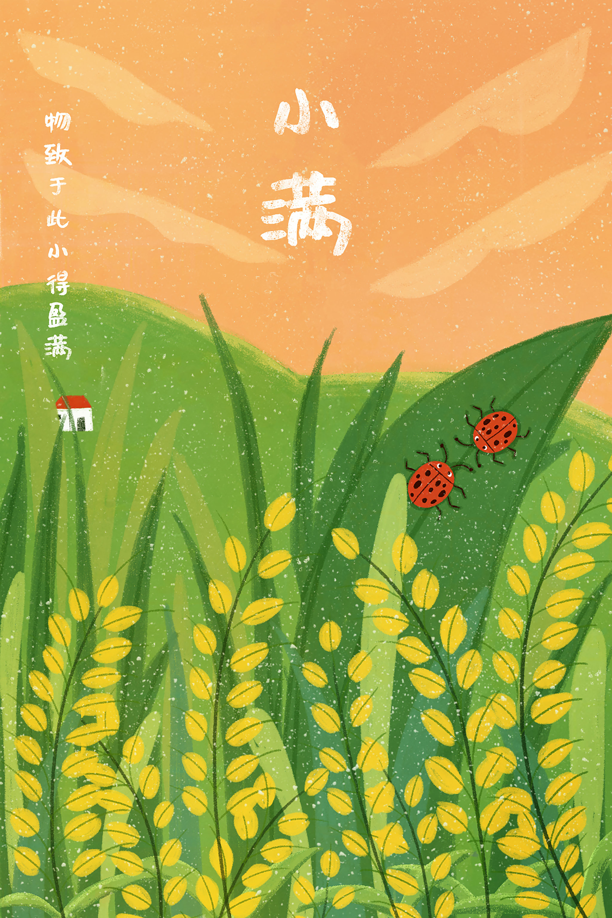 二十四节气-小满 - 满岛秋葵 - 原创作品 - 视觉中国(shijueme)