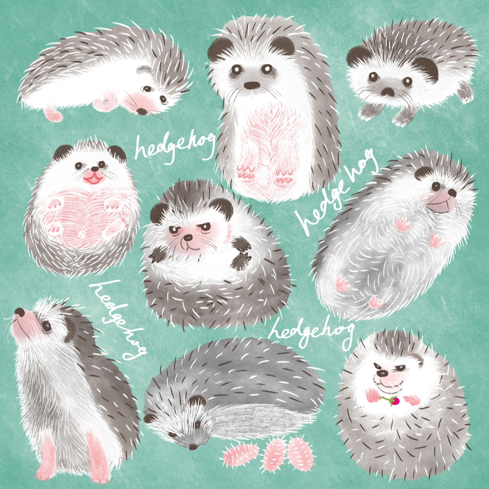 水彩小刺猬 插画  - 商业插画 |   上传时间: 2021-07-28 14:05 0 为