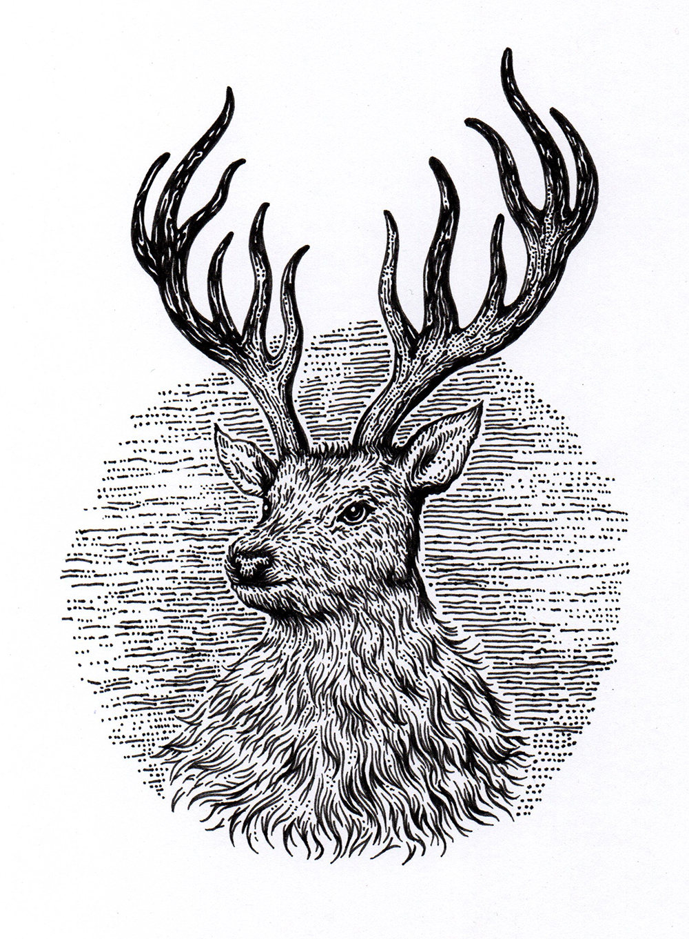 最近杂七杂八的图图们