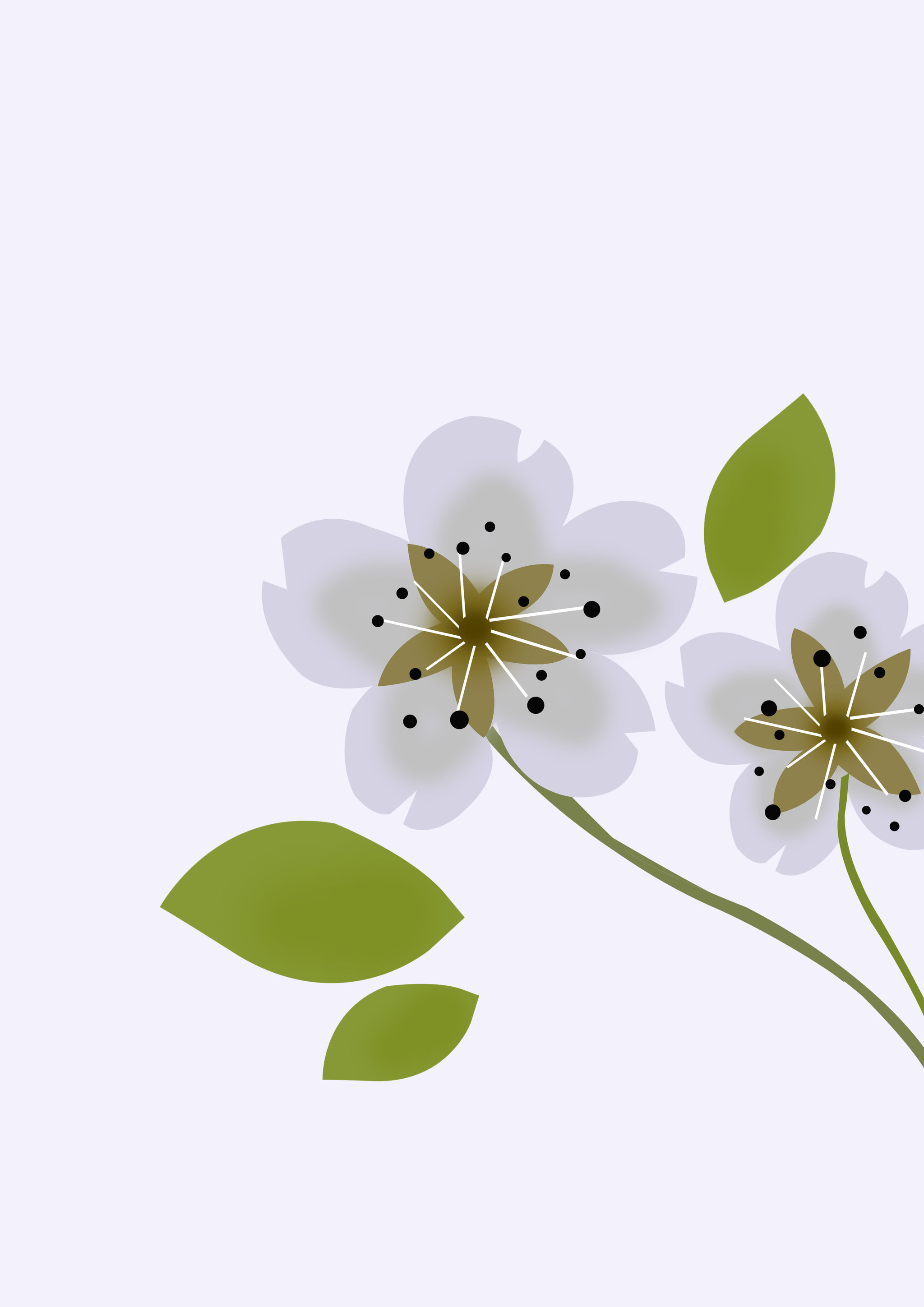 梨花- 红蓝黄 - 原创作品 - 视觉中国(shijueme)