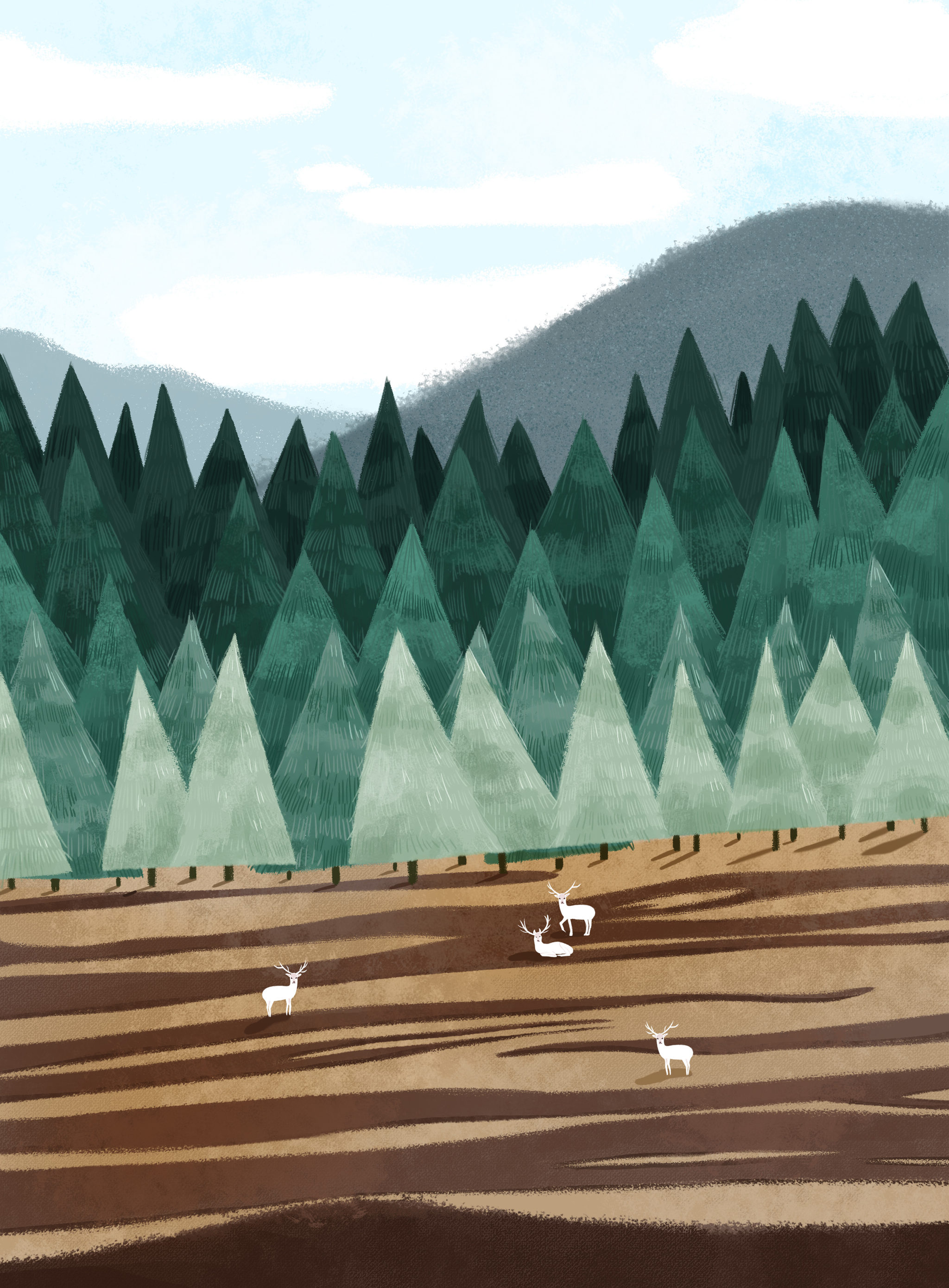 森林 插画  - 其他绘画 |   上传时间: 2020-11-22 19:45 为ta点赞