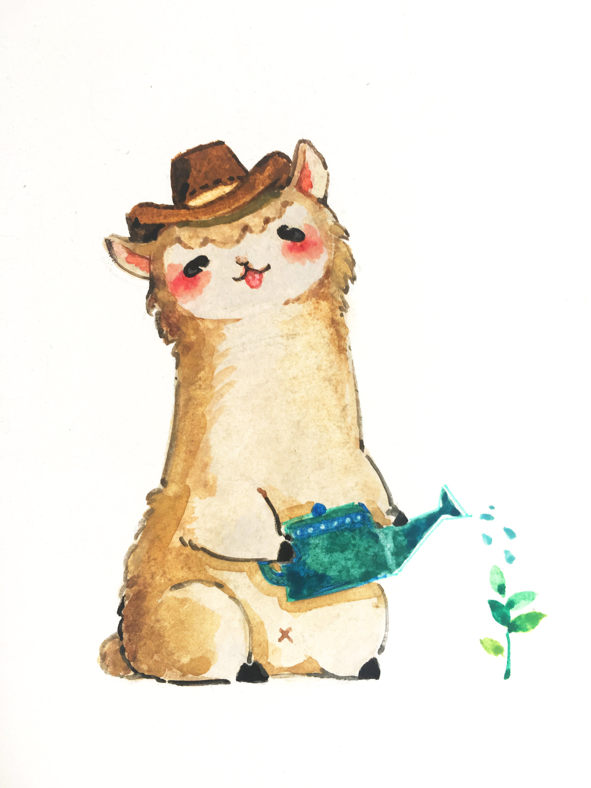 羊驼农场主(呆萌)