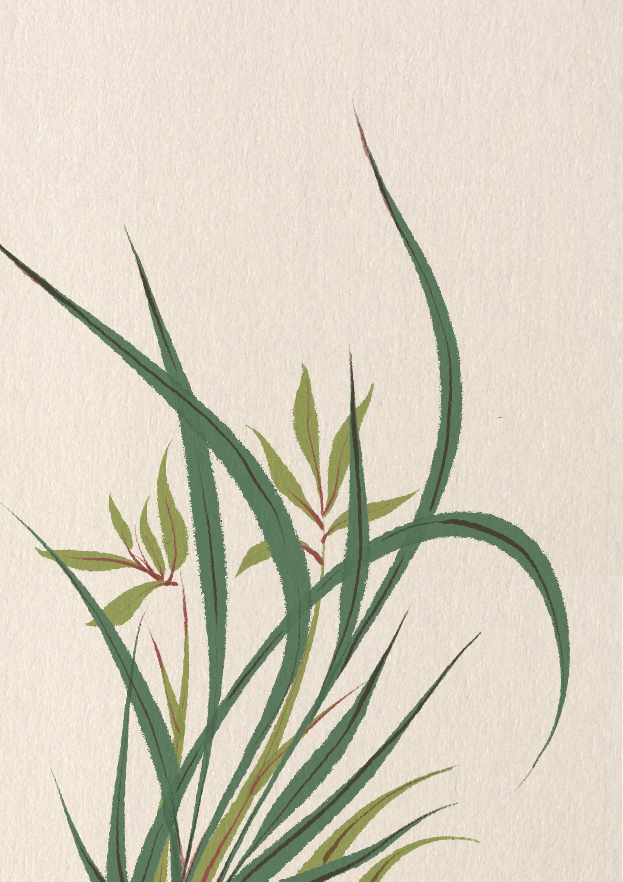 古风花花草草合集