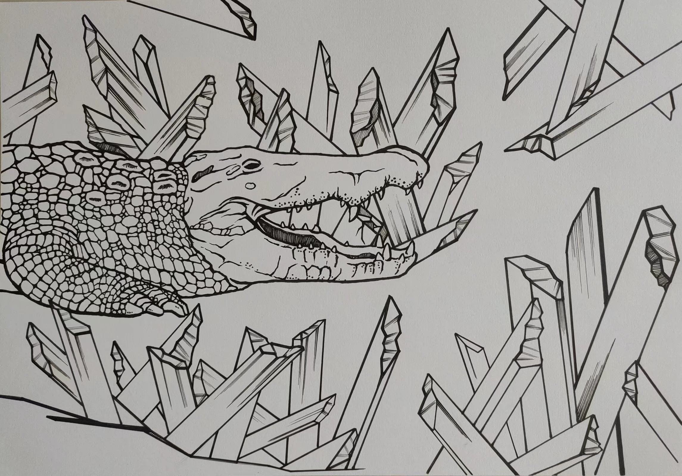 手绘矿晶,植物,爬宠