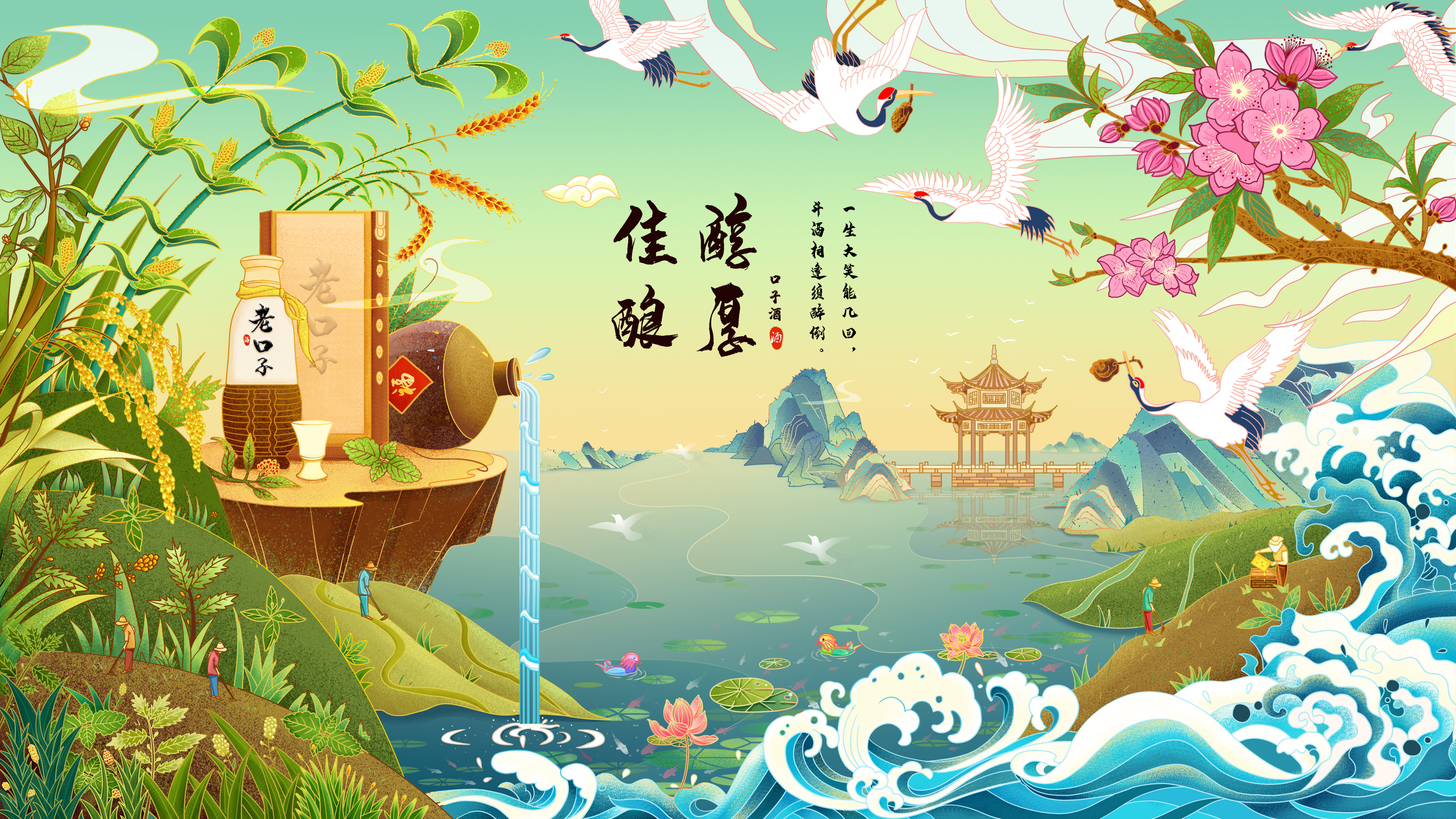 皖北-口子酒-插画包装