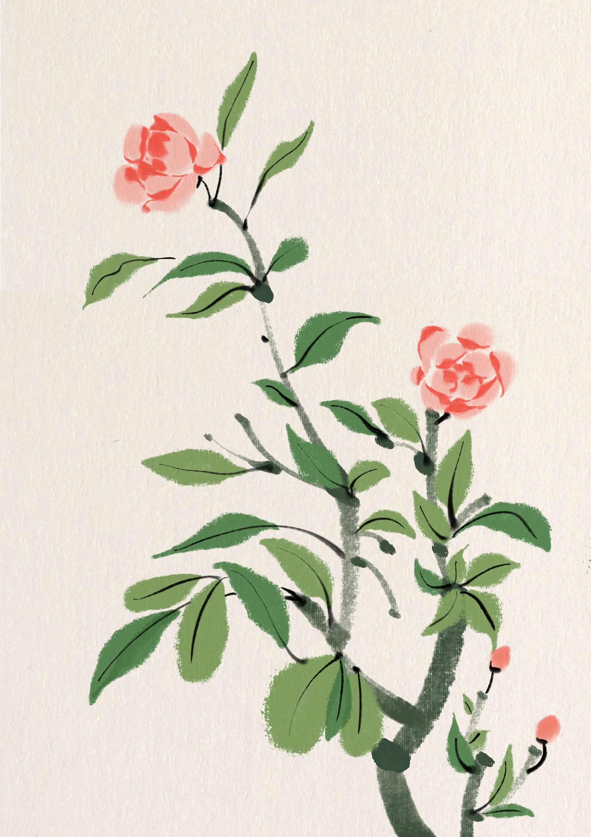 古风花花草草合集