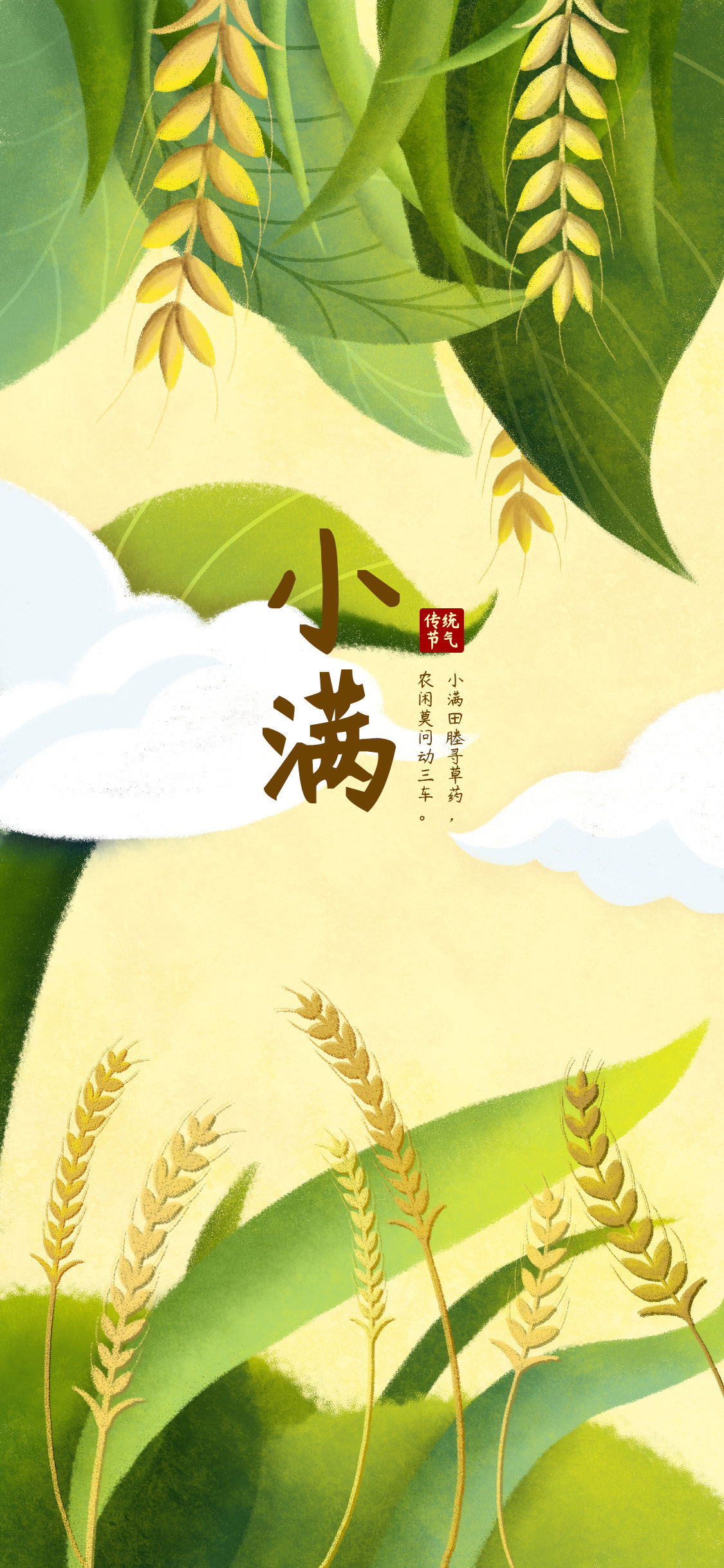 原创插画Ⅰ二十四节气小满