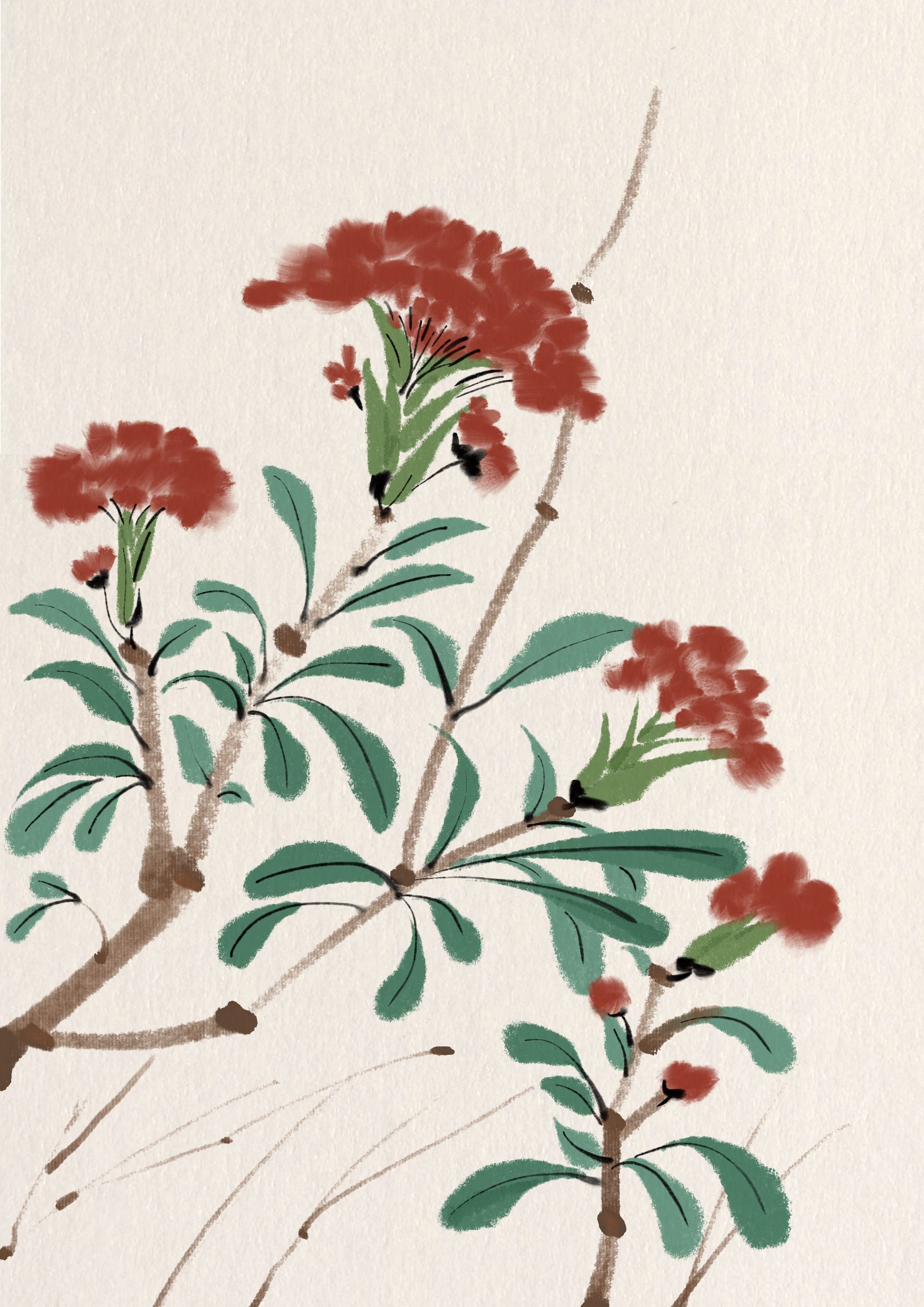 古风花花草草合集