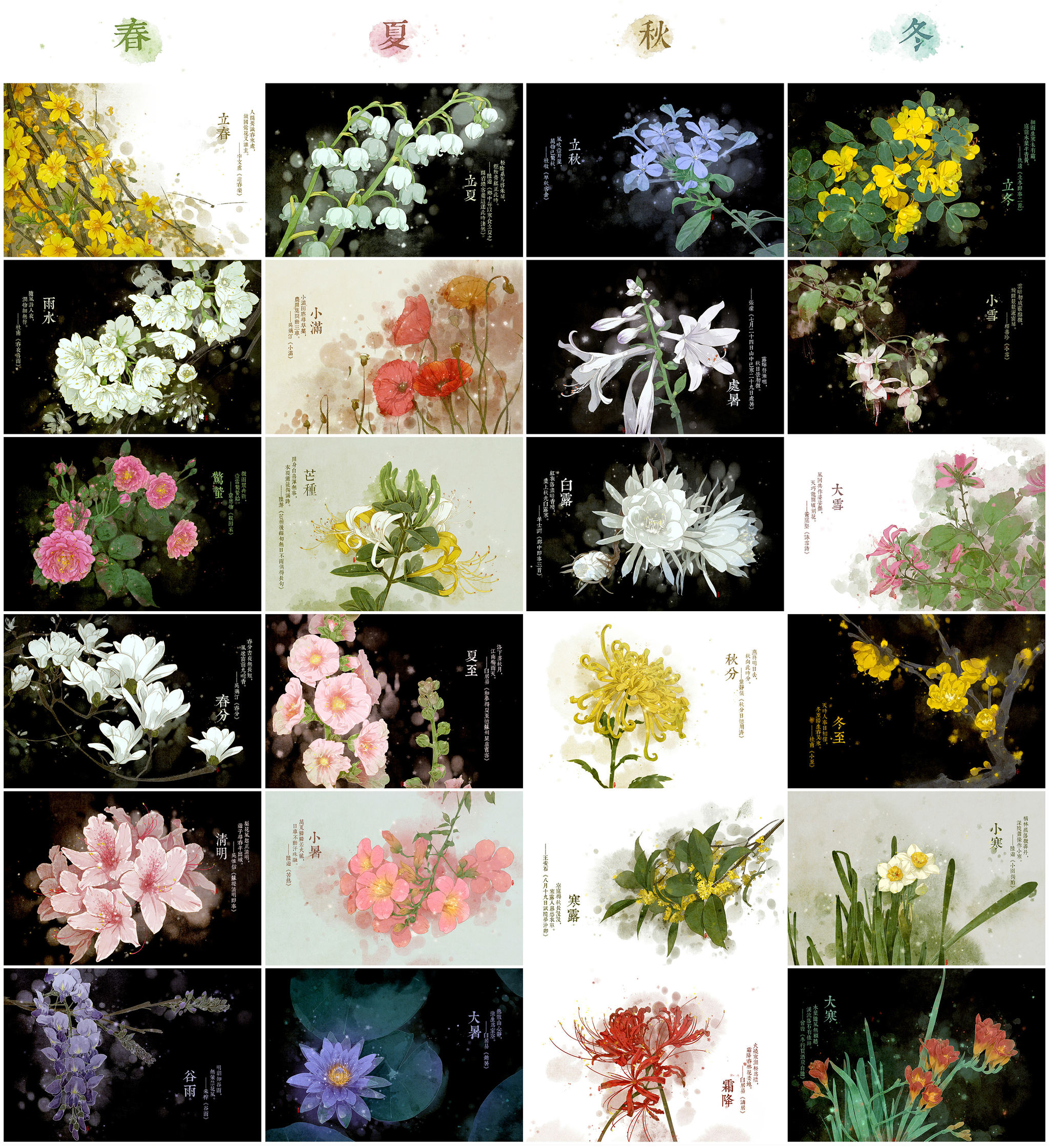 24节气专属花图片