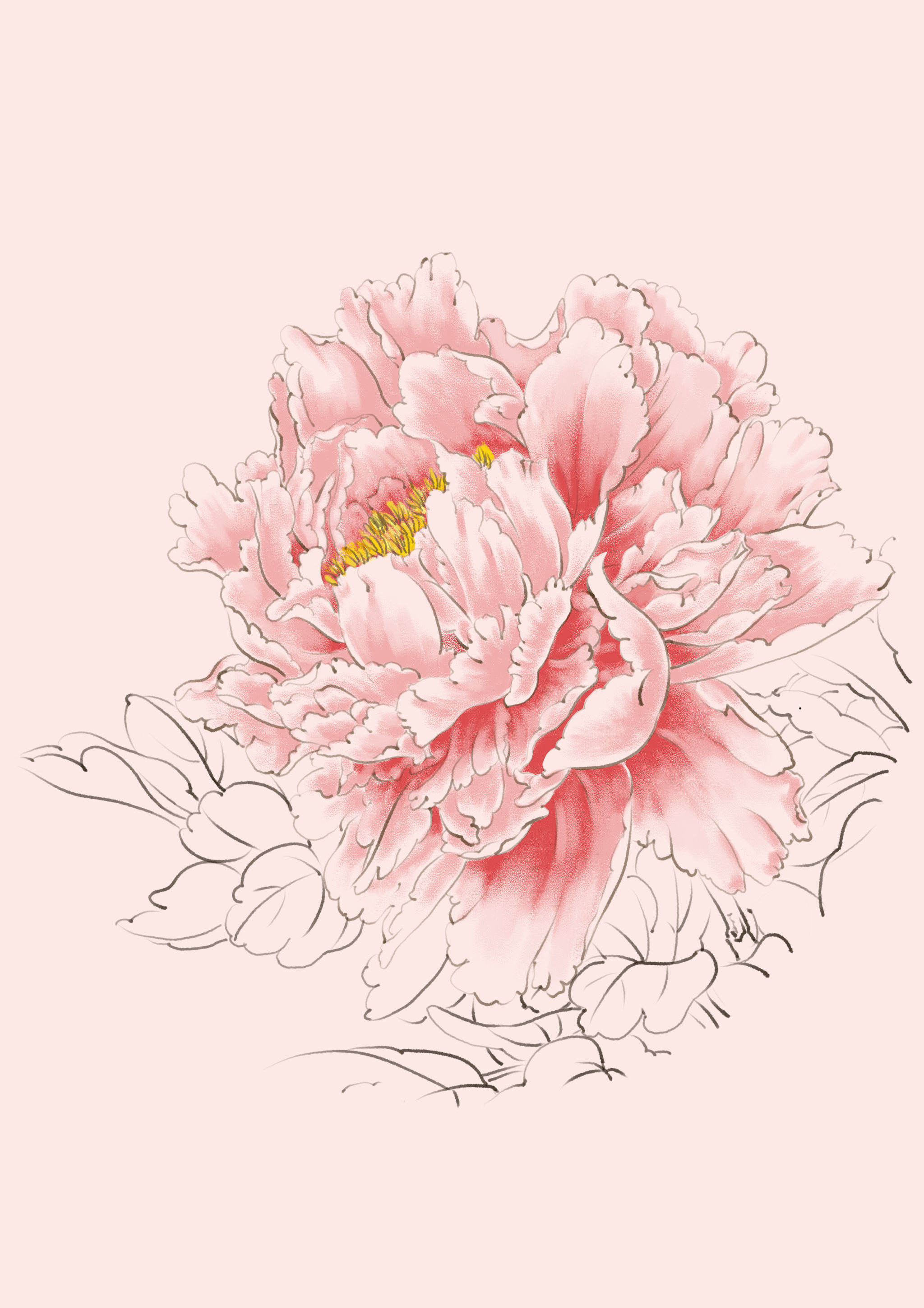 国风工笔牡丹 - 话梦 - 原创作品 - 视觉中国(shijueme)