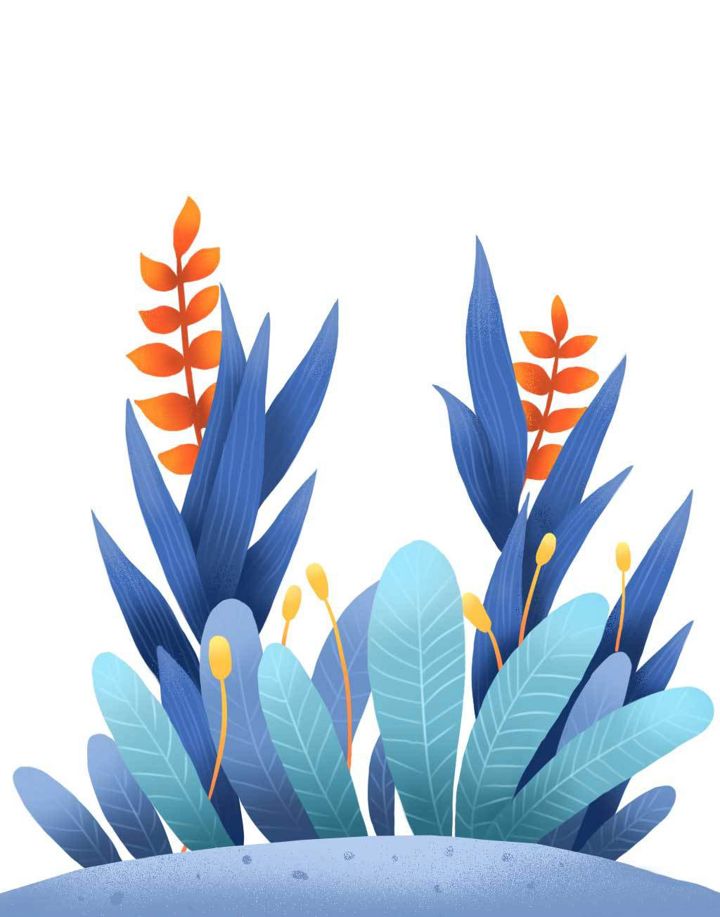 植物插画