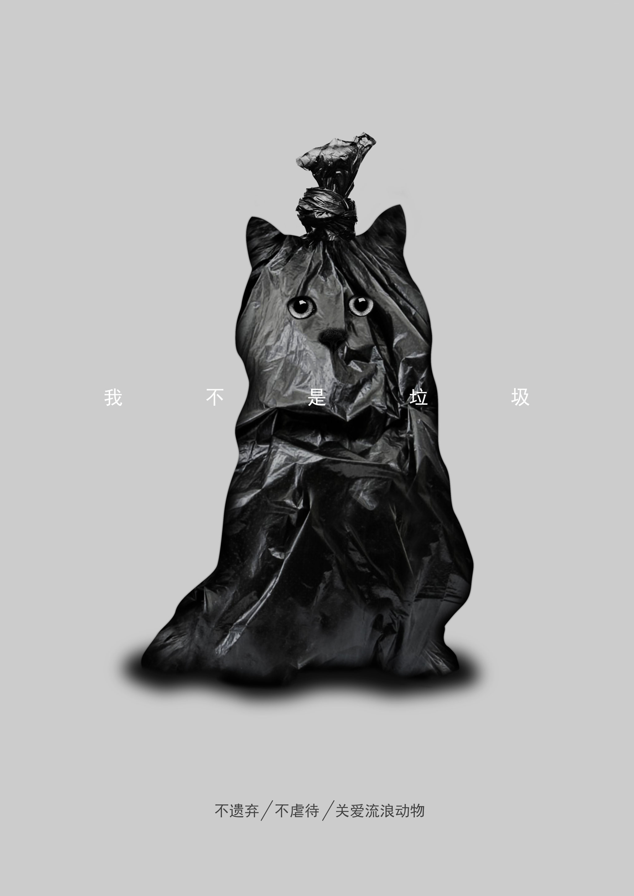 关爱流浪动物 平面  - 海报 |   上传时间: 2017-03-09 11:12 1 为ta