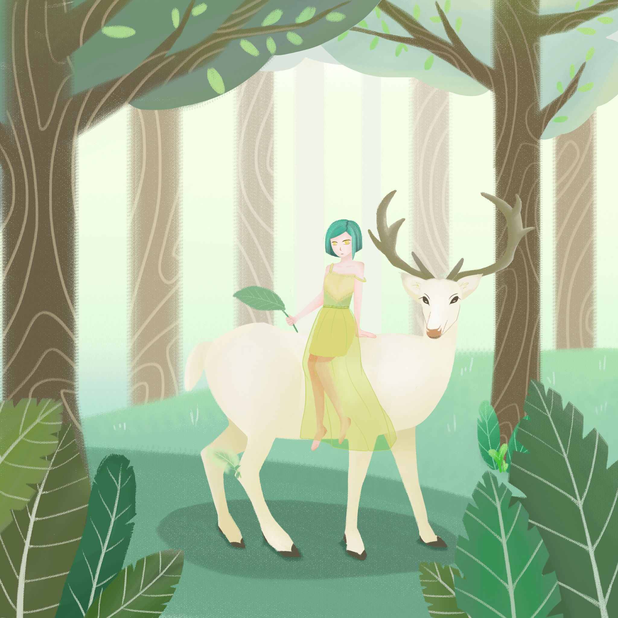 森林 人与鹿 白鹿