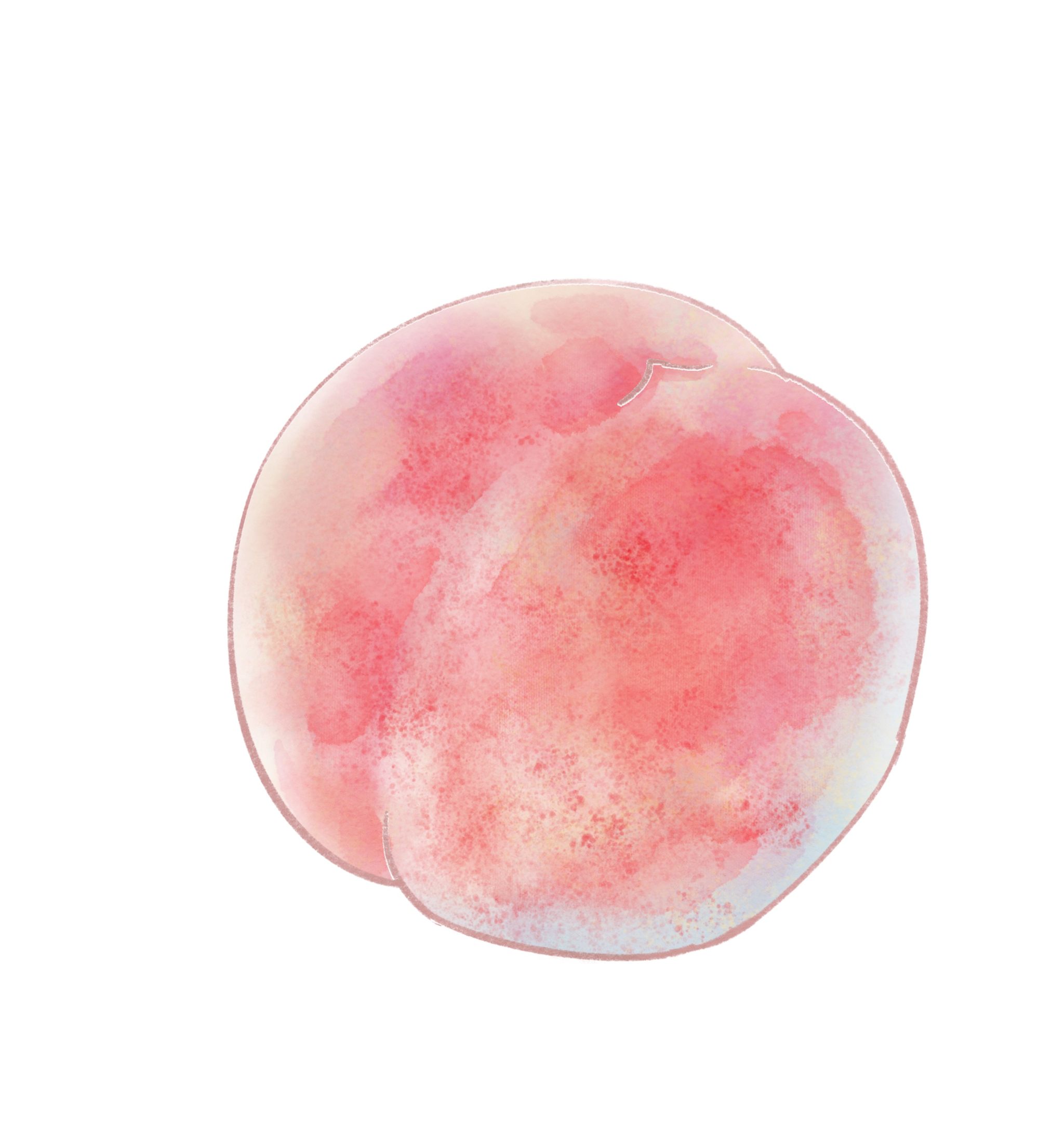 水彩水果 水彩花卉