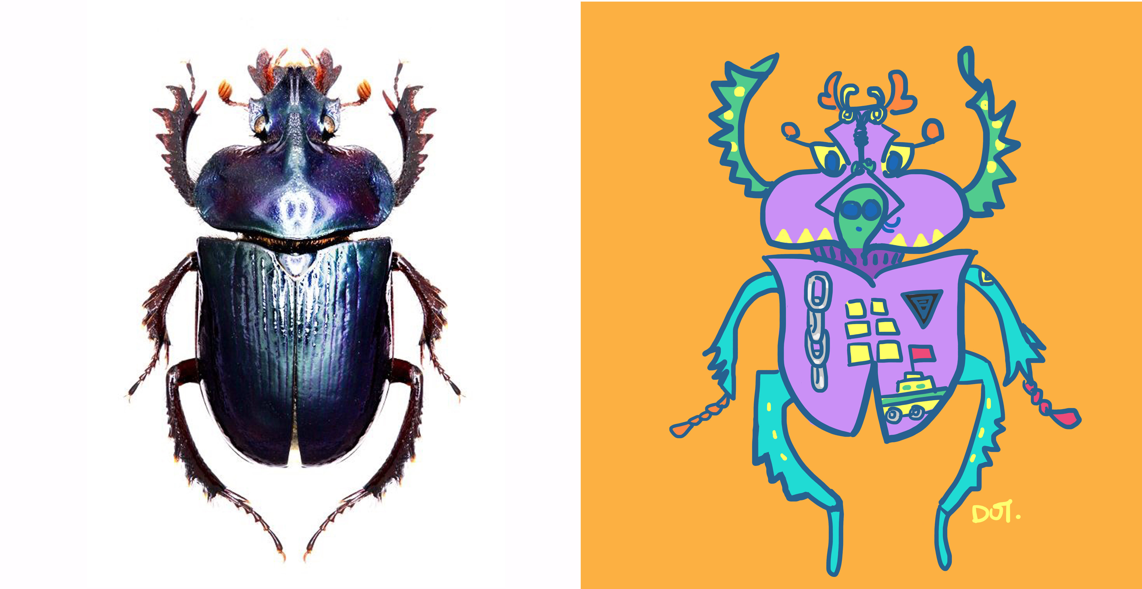 (新作)甲虫系列