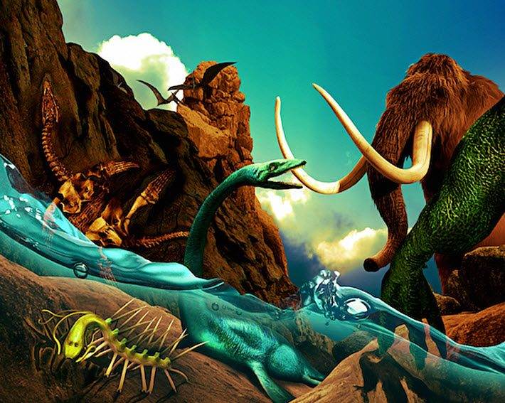 金奖- 库纳尔·昆度 -《古代的生物》