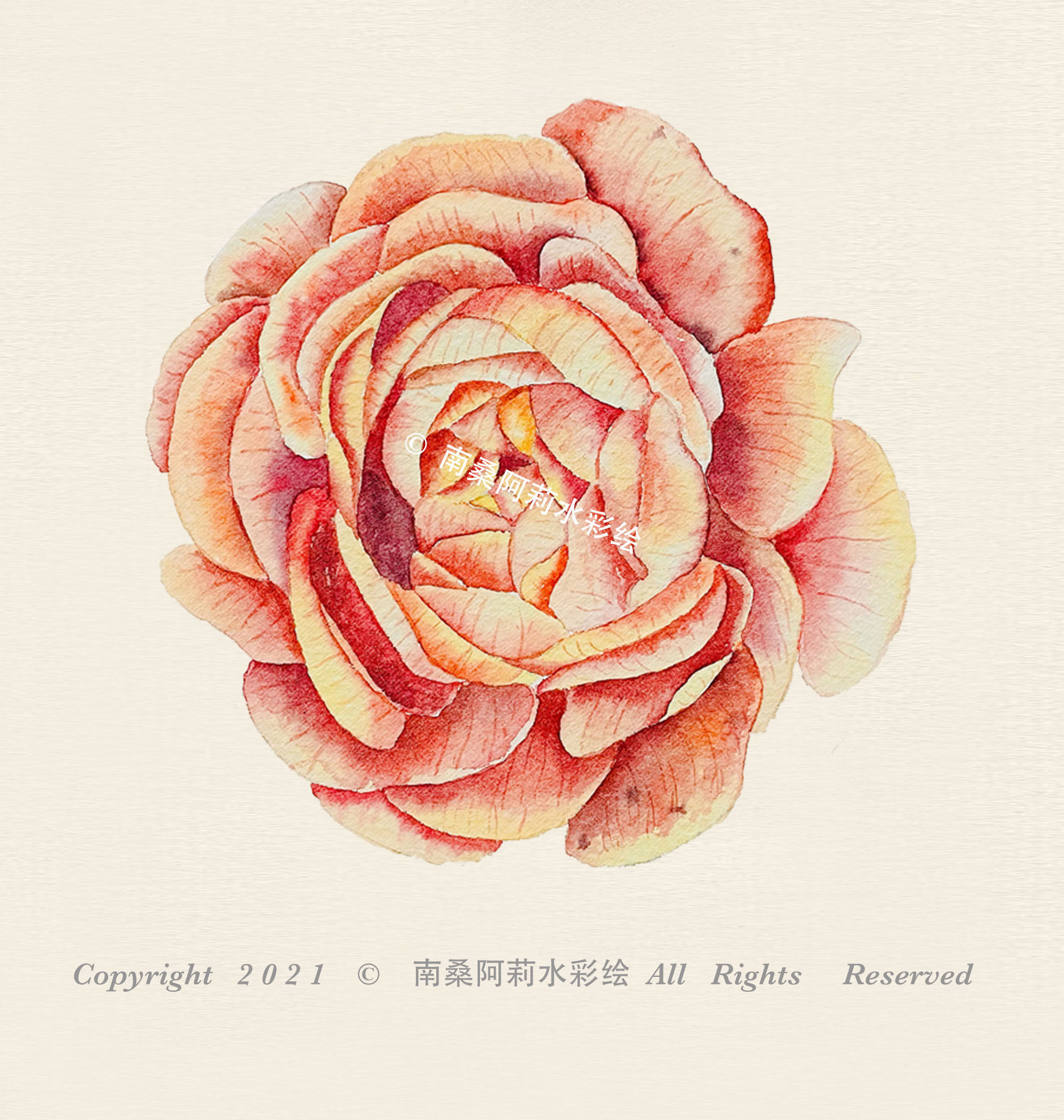 百花齐放之花卉系列 - 南桑阿莉水彩绘 - 原创作品 - 视觉中国(shijue