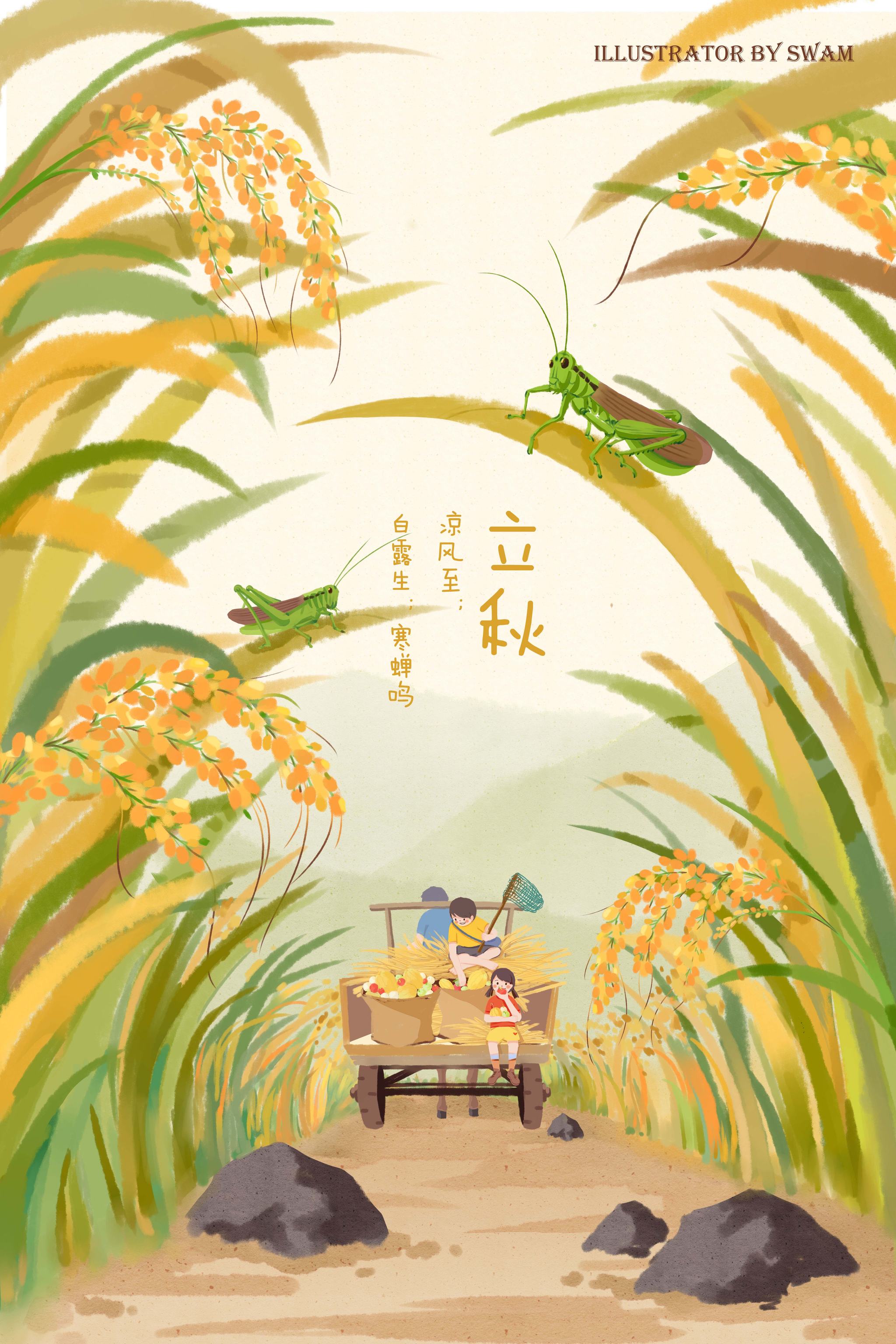 二十四节气之立秋插画