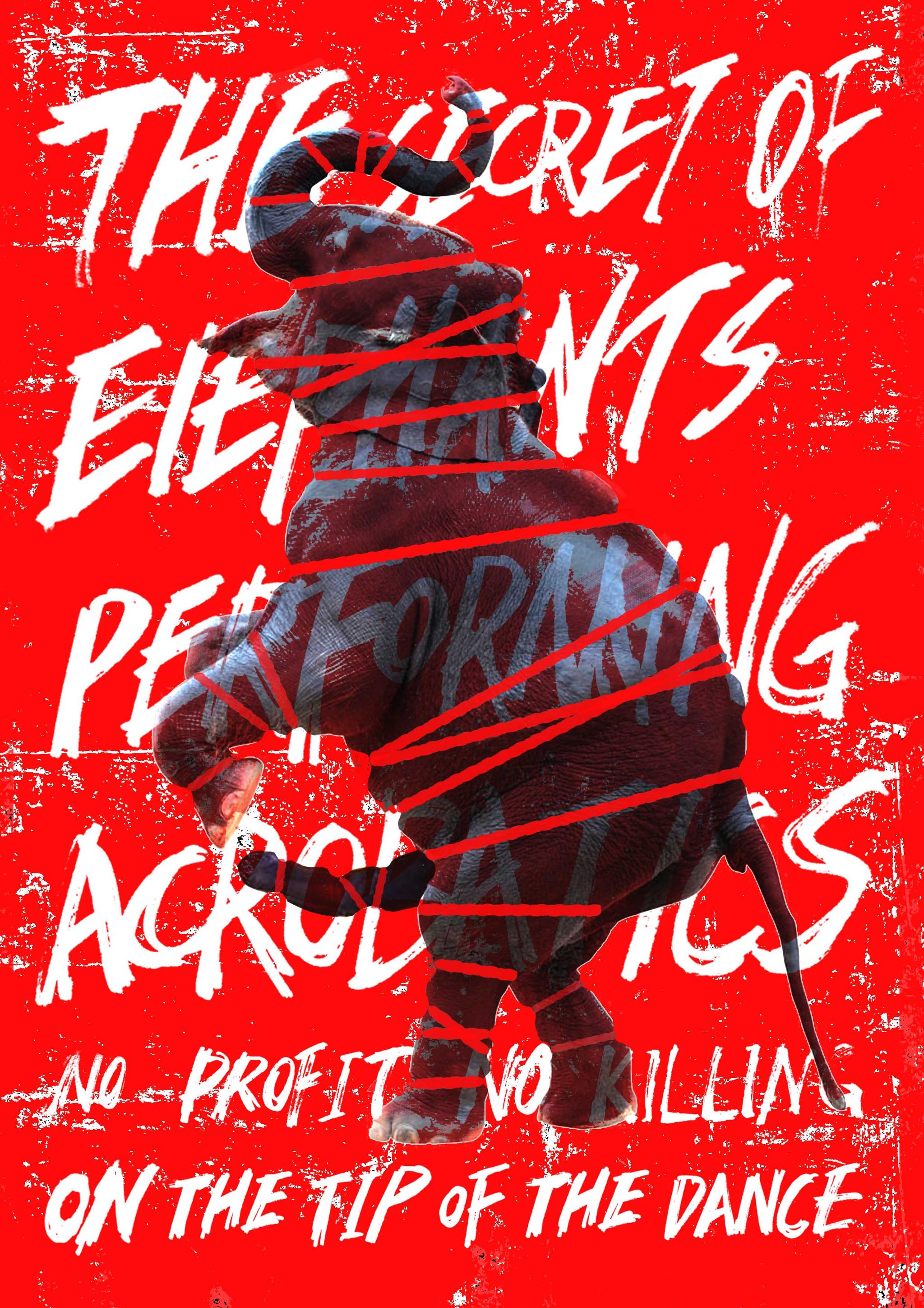 保护大象_公益海报(大象表演背后的虐待和残忍)