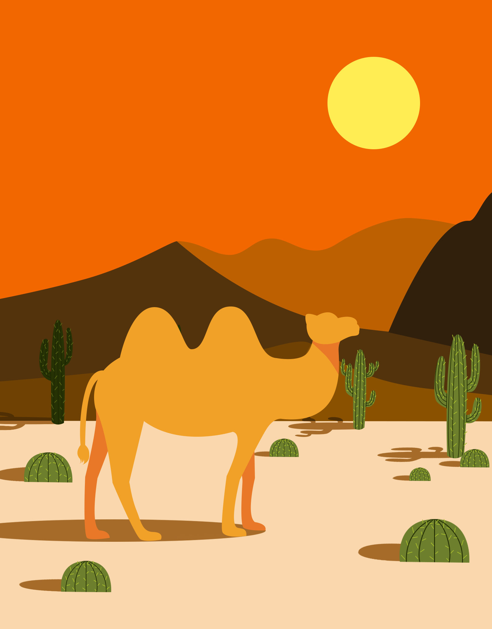 日夜的沙漠骆驼