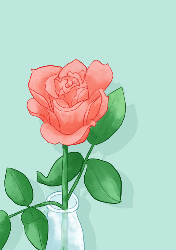 手绘玫瑰插画