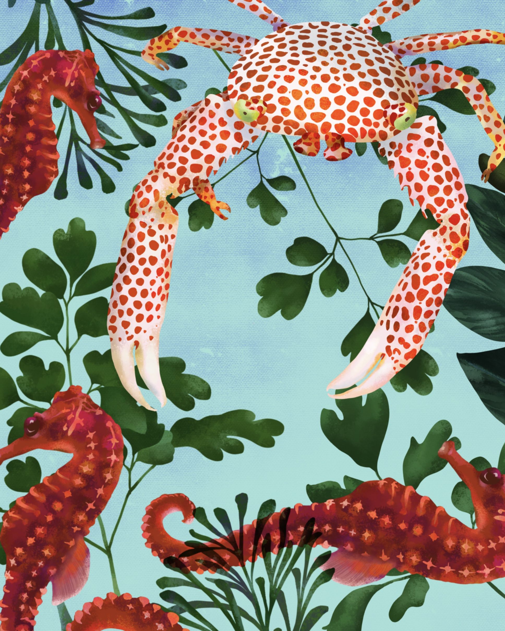 「装饰插画」海洋生物之一