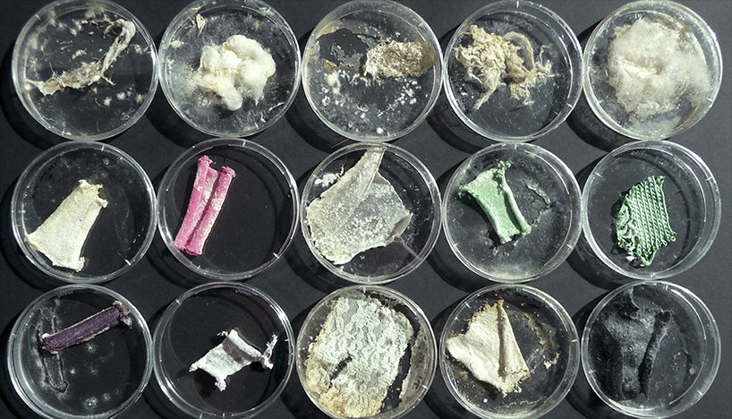 蘑菇菌丝体面料衣服 探索未来衣服发展趋势