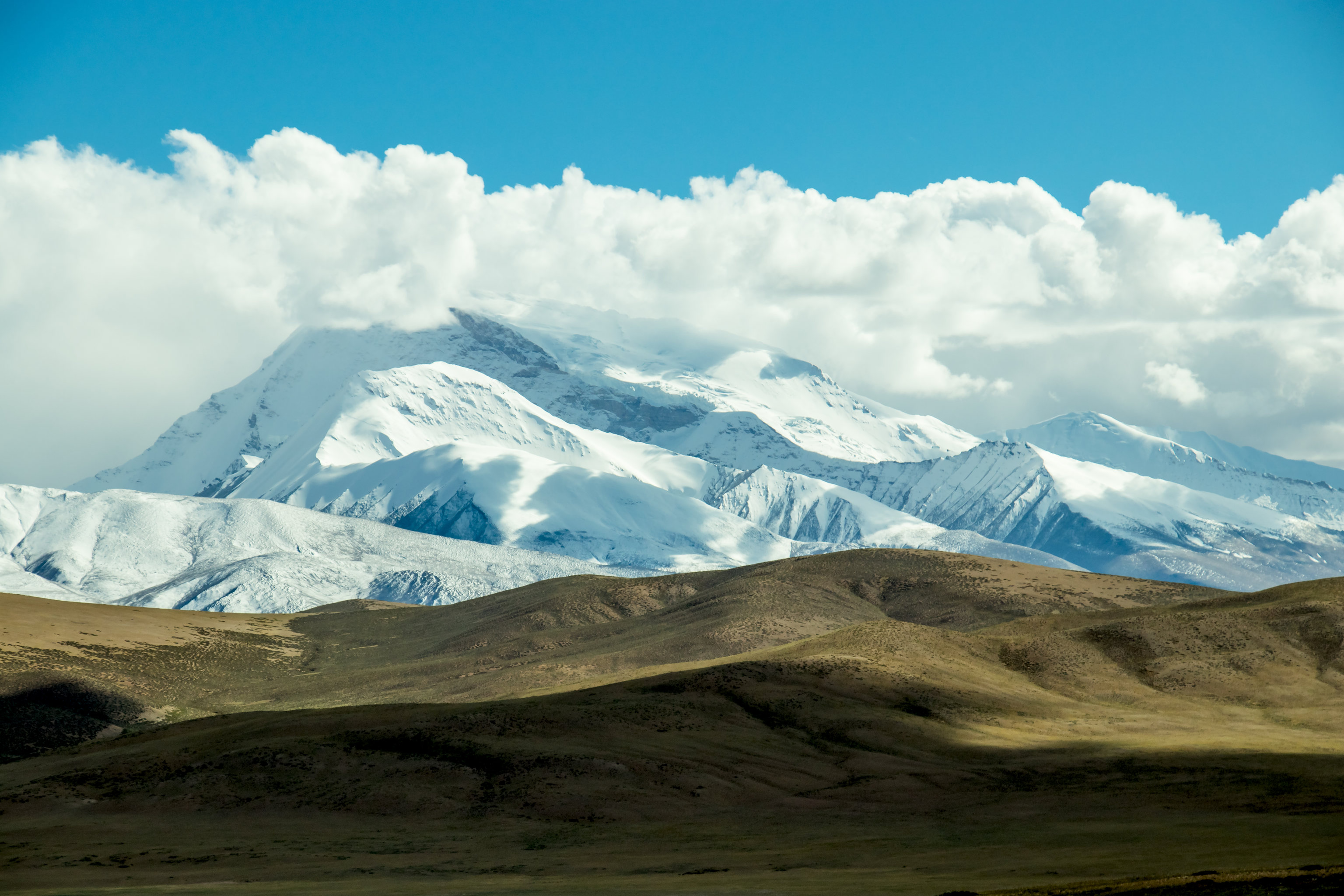 风光- 菩提 - 原创作品 - 视觉中国(shijueme)