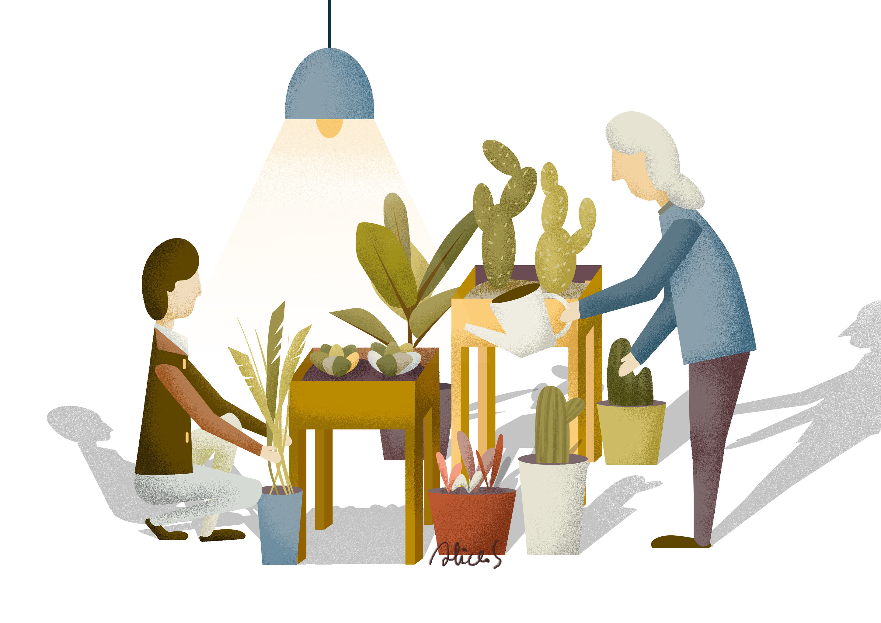 母亲节插画系列陪妈妈种种花