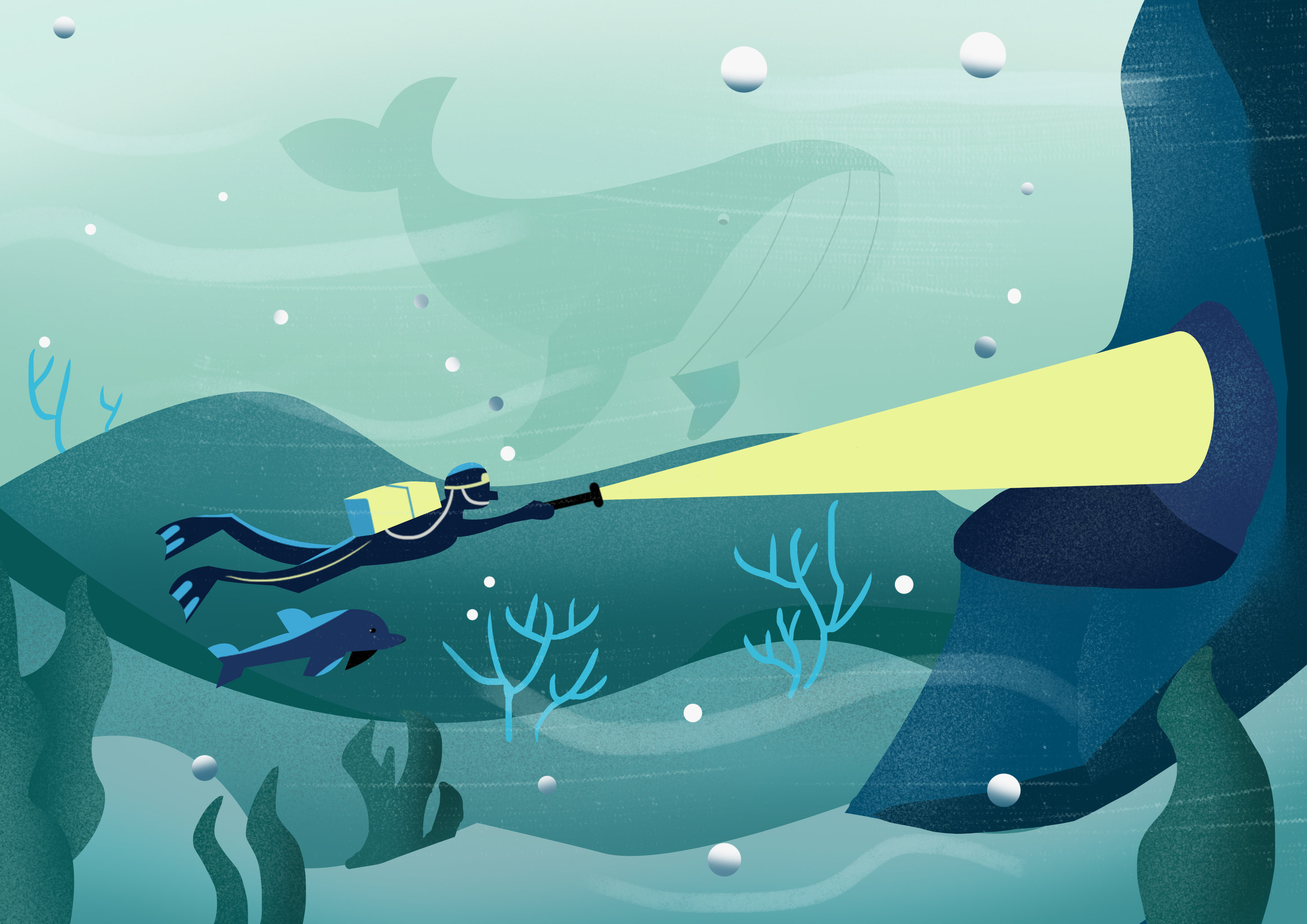 海底探险 - 136****7697 - 原创作品 - 视觉中国(shijueme)