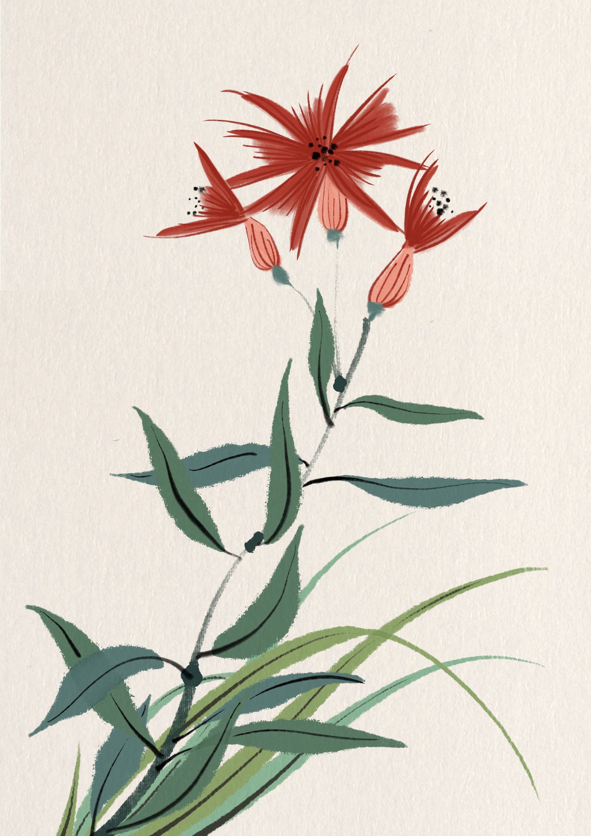 古风花花草草合集