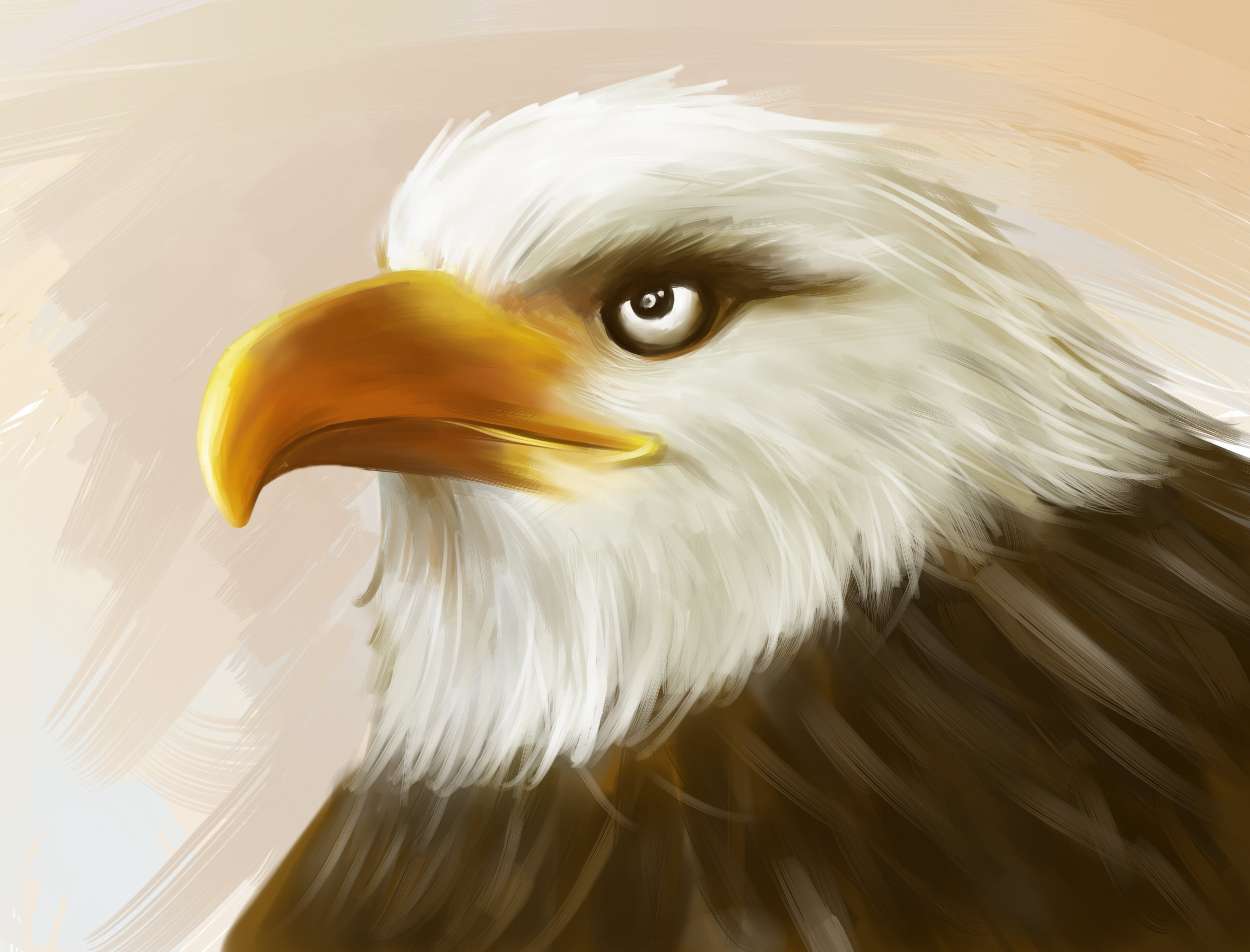 鹰 cg  - 原画 |   上传时间: 2016-07-21 17:49 为ta点赞