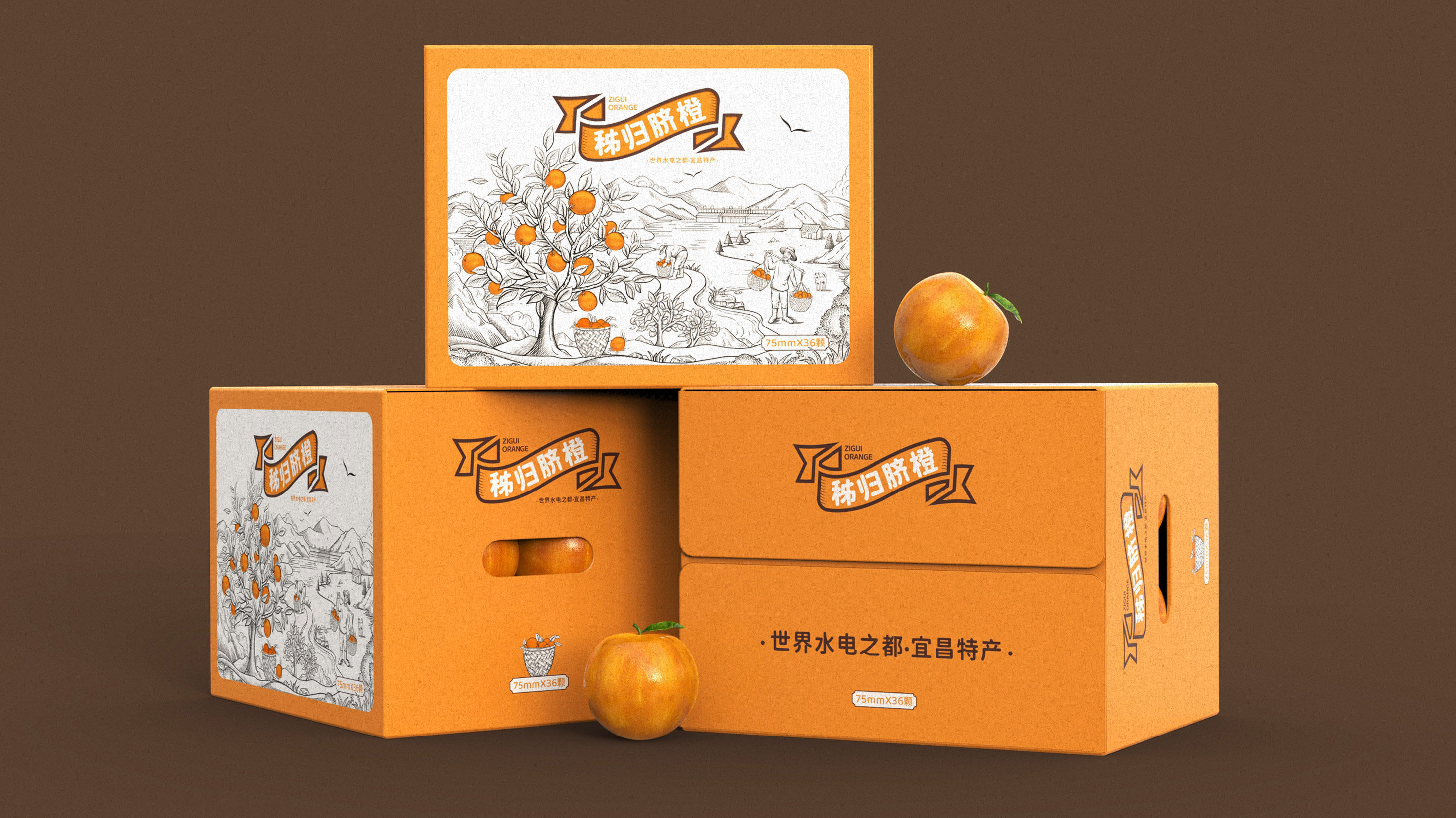 秭归脐橙包装设计|世界水电之都宜昌特产